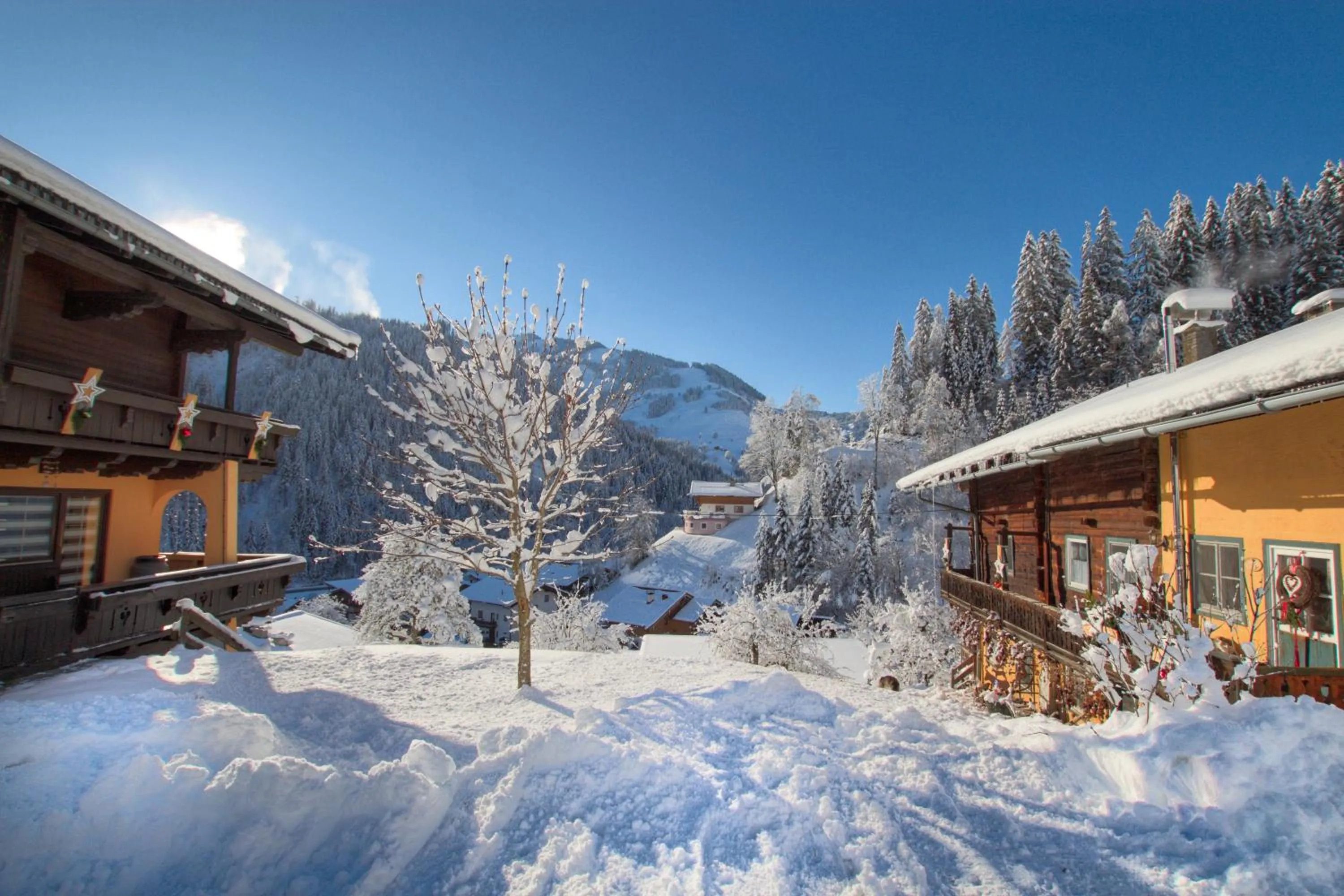 Property building in Appartements Moser