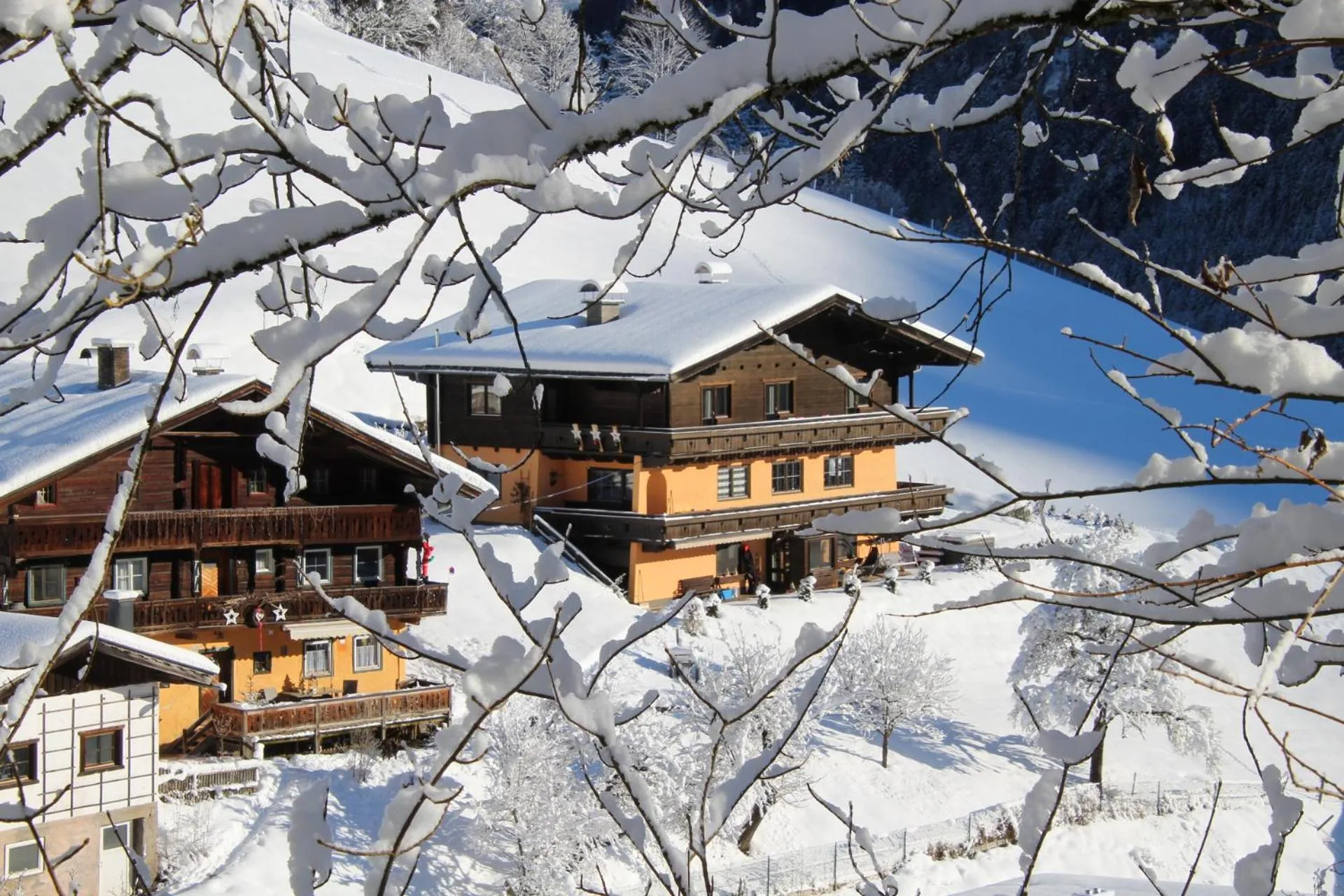 Property building in Appartements Moser