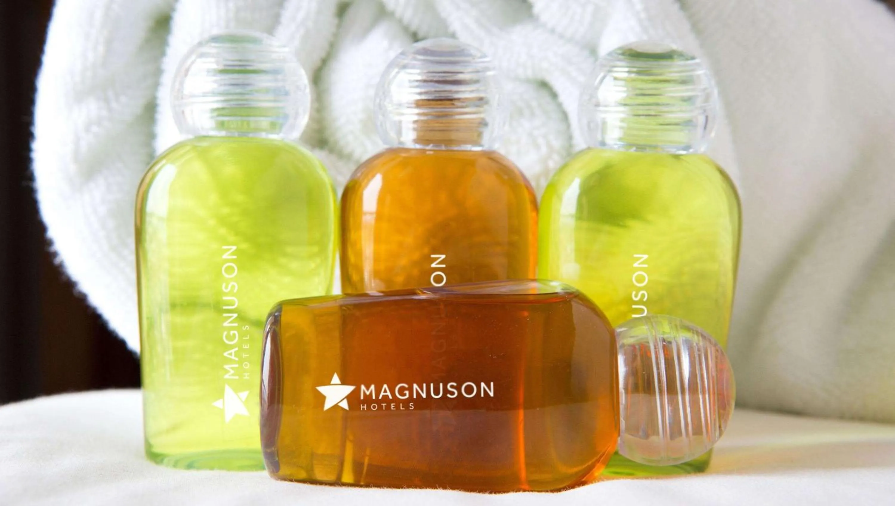 Bathroom in Magnuson Hotel Fowlerville