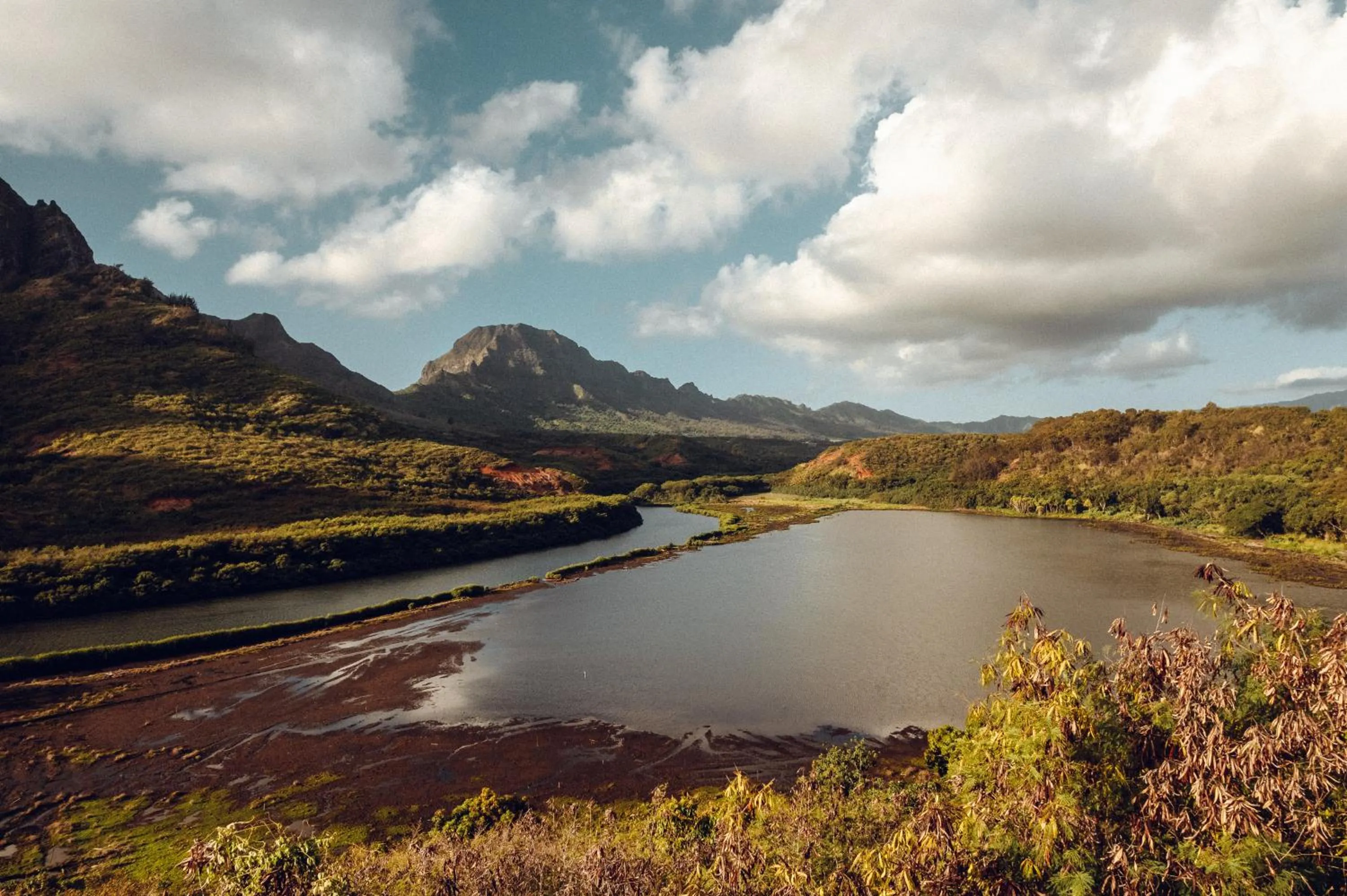 Natural landscape in Banyan Harbor Resort