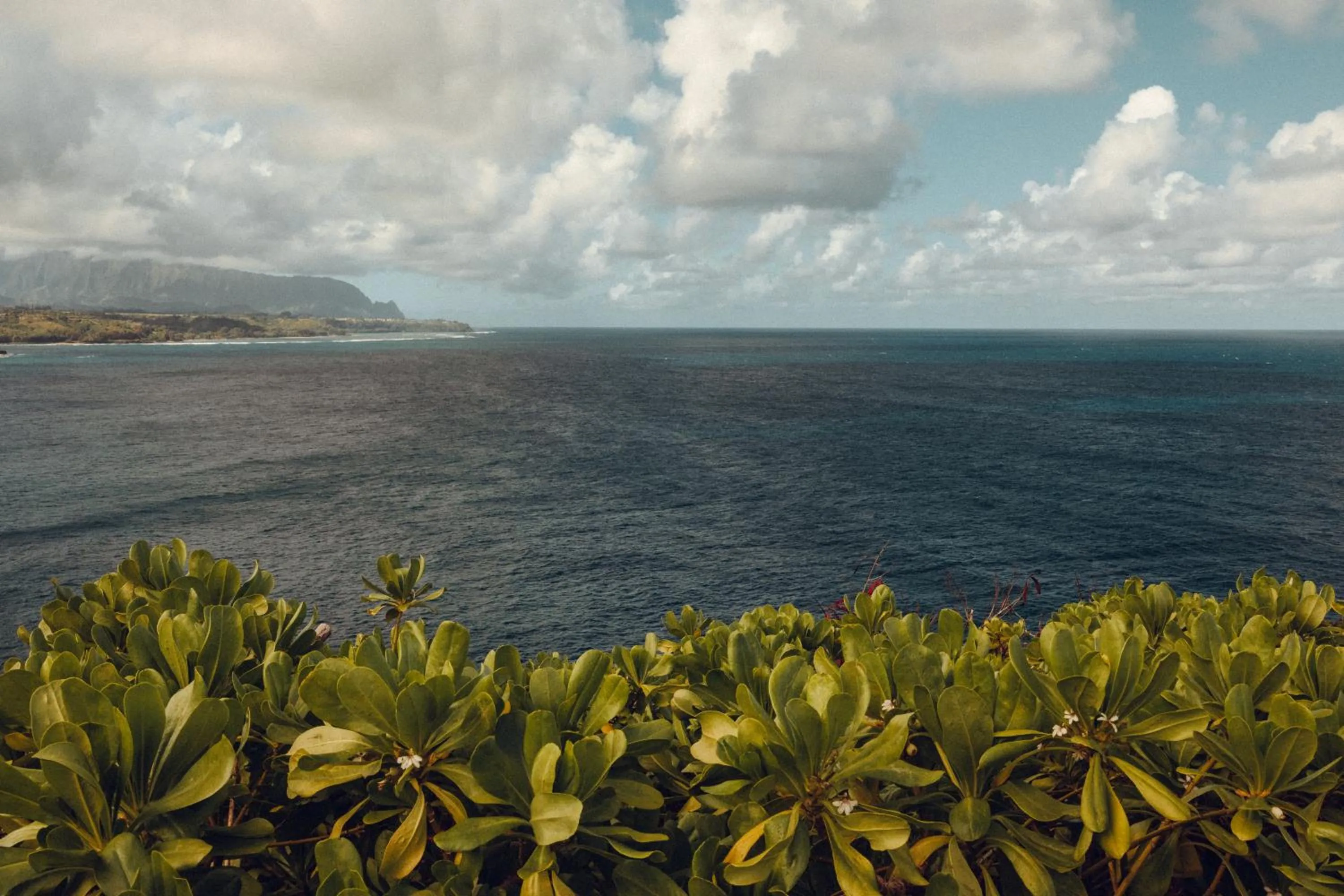 Beach in Banyan Harbor Resort
