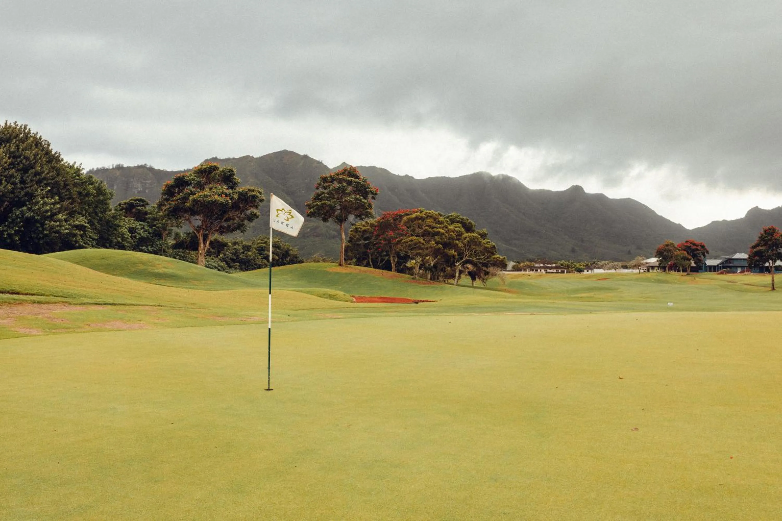 Natural landscape in Banyan Harbor Resort