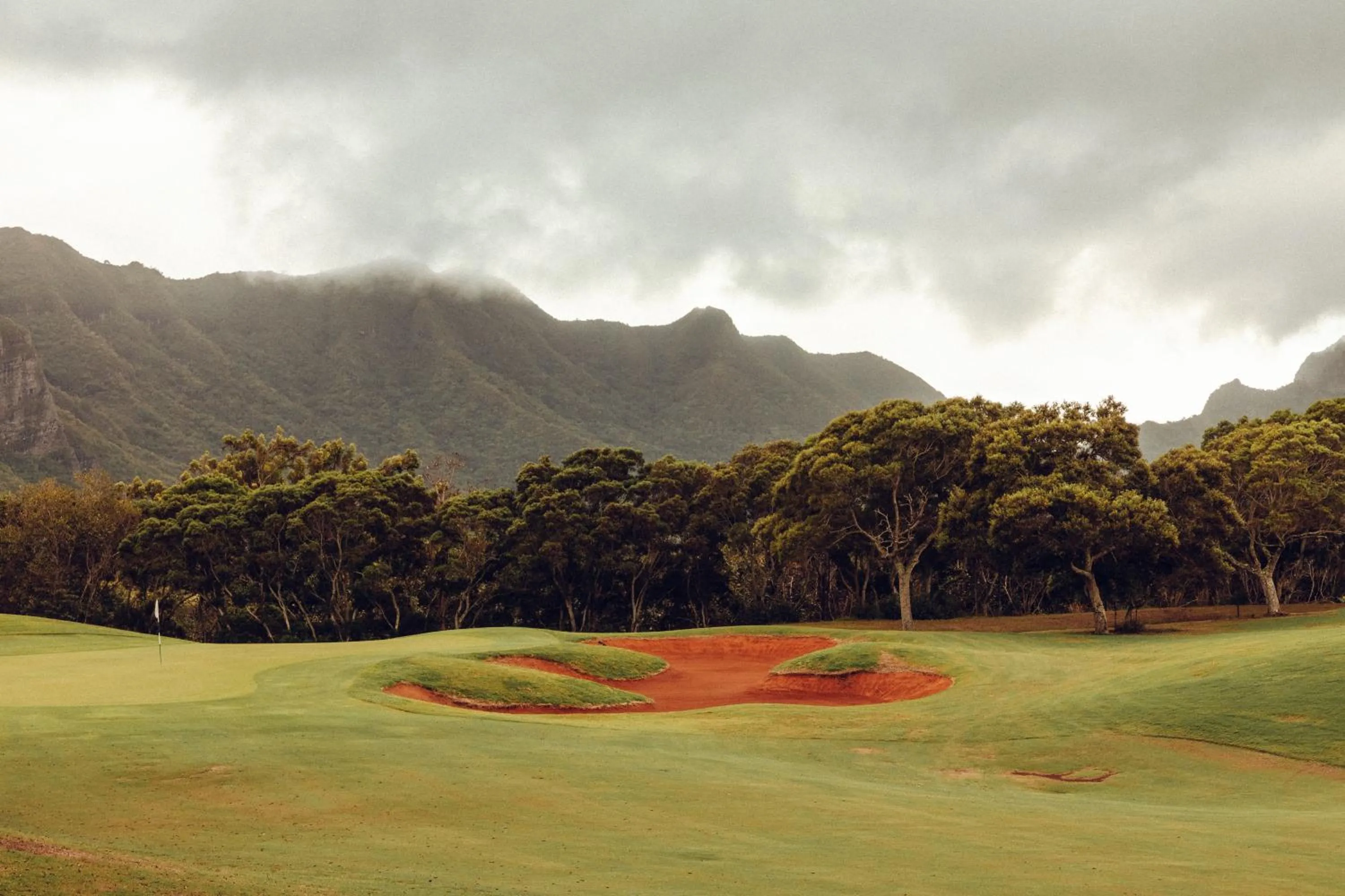 Natural landscape in Banyan Harbor Resort