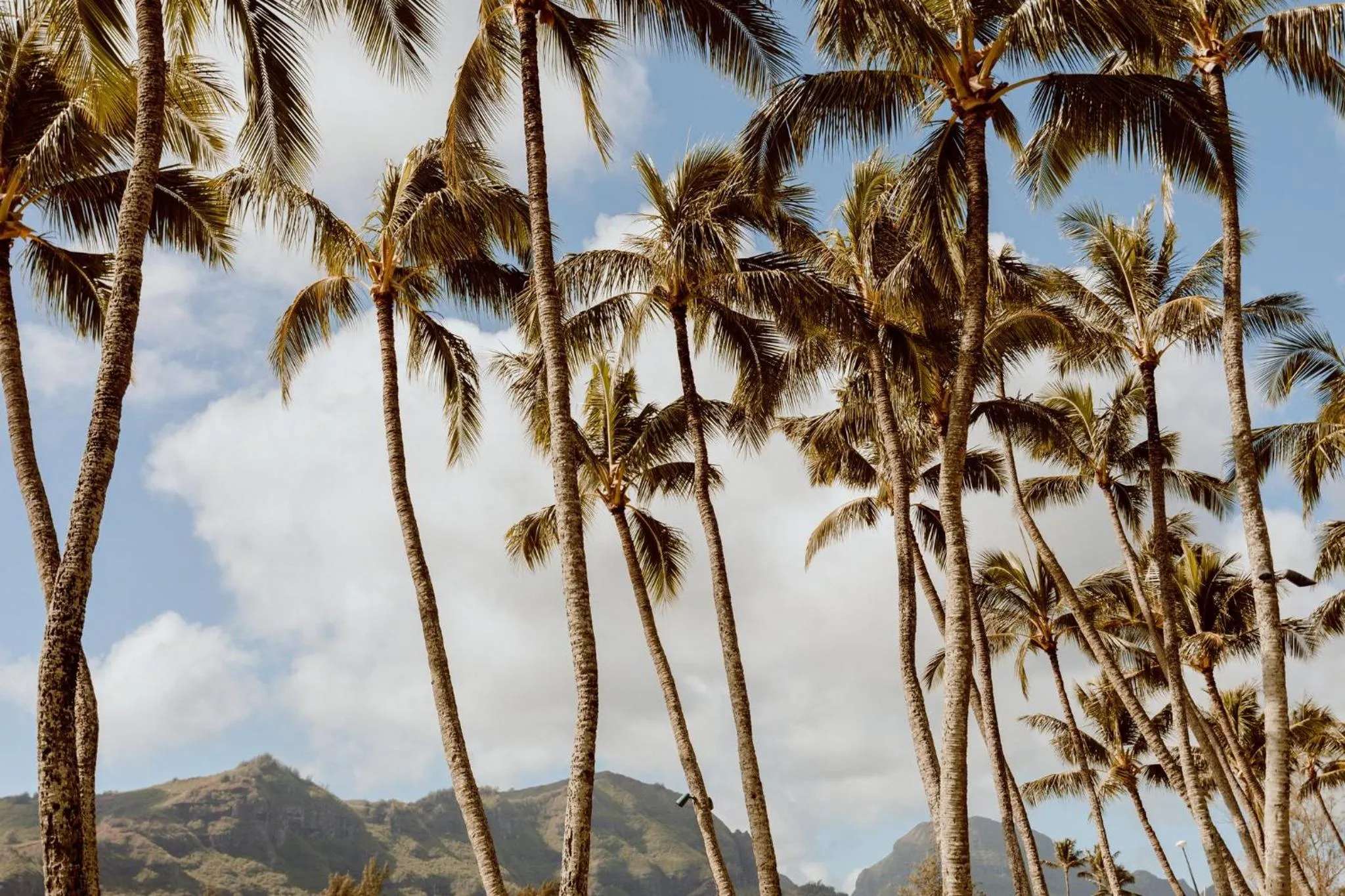 Other in Banyan Harbor Resort