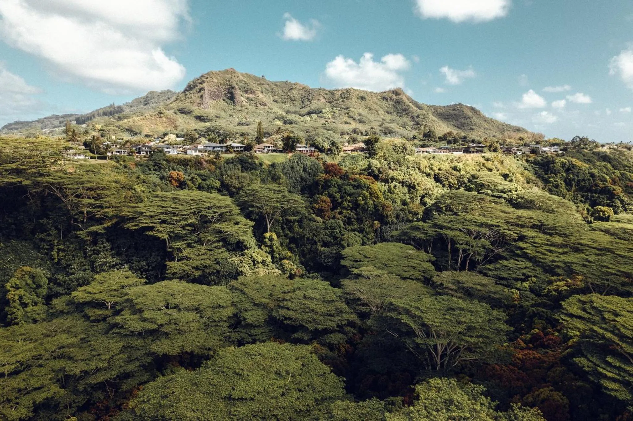 Other in Banyan Harbor Resort