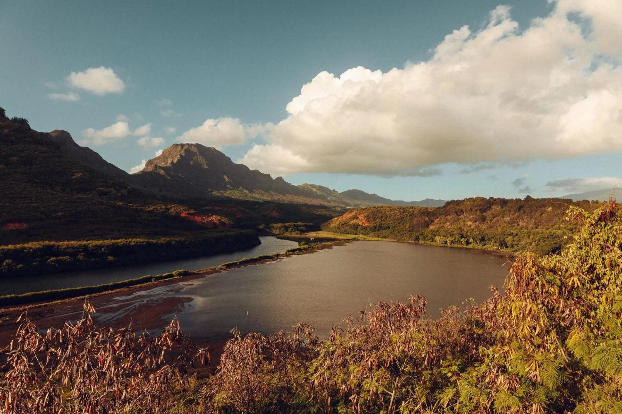 Other in Banyan Harbor Resort