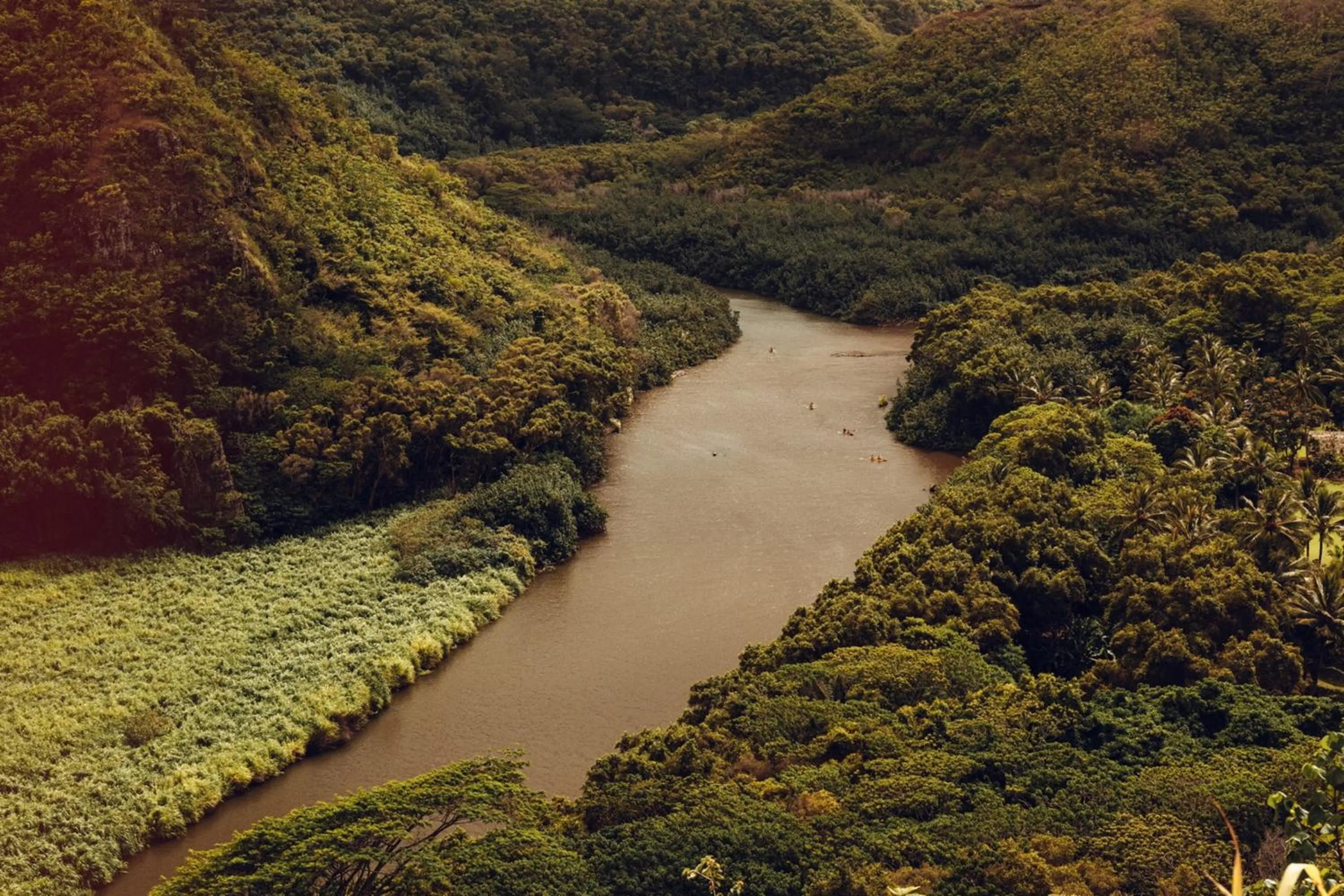 Other in Banyan Harbor Resort
