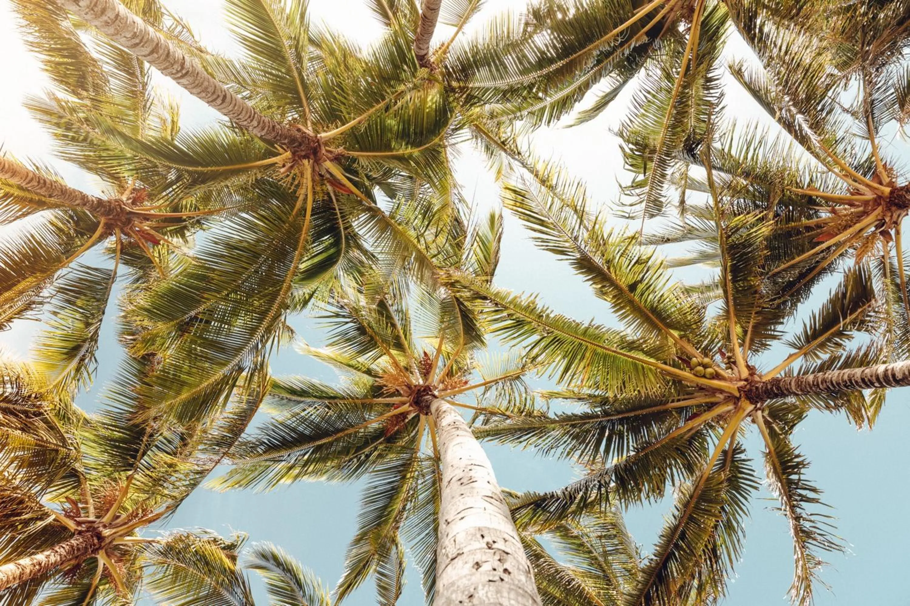 Location in Banyan Harbor Resort