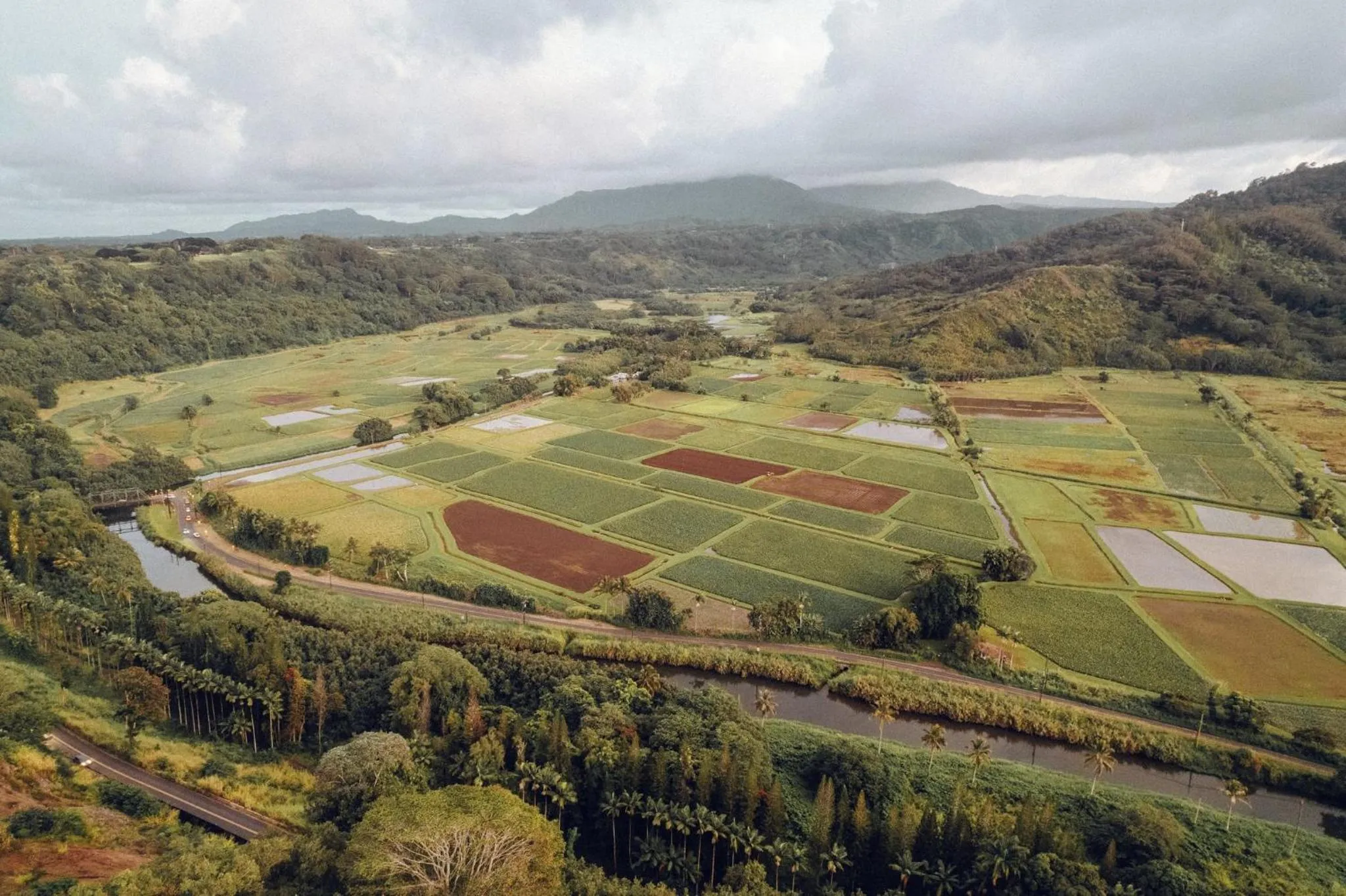 Other in Banyan Harbor Resort