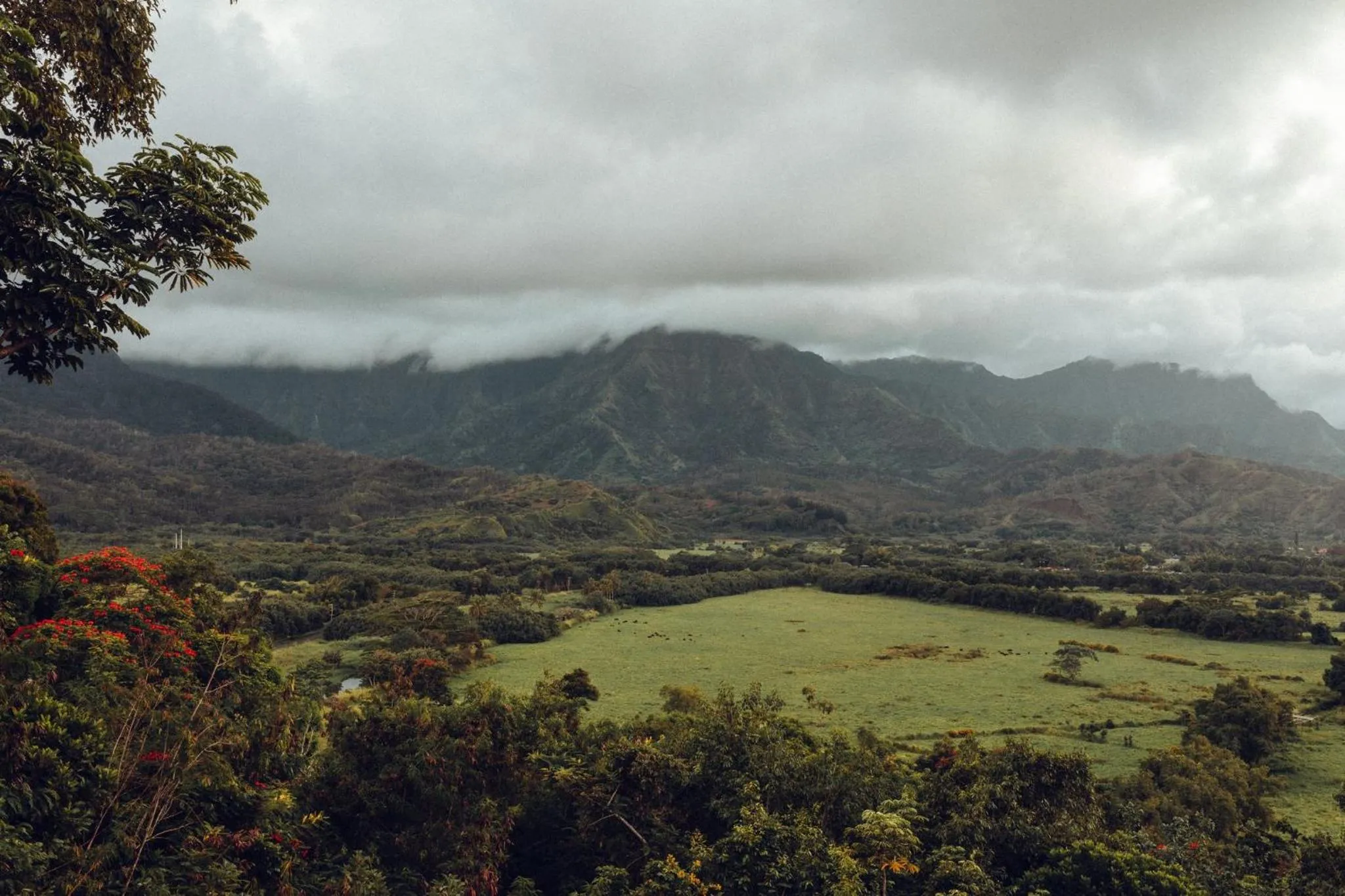 Other in Banyan Harbor Resort
