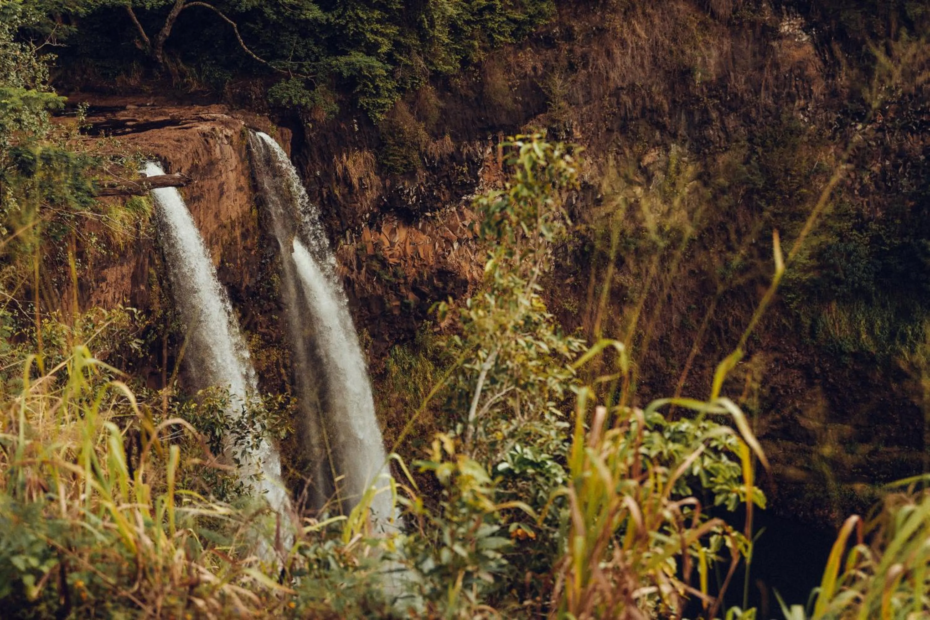 Natural landscape in Banyan Harbor Resort