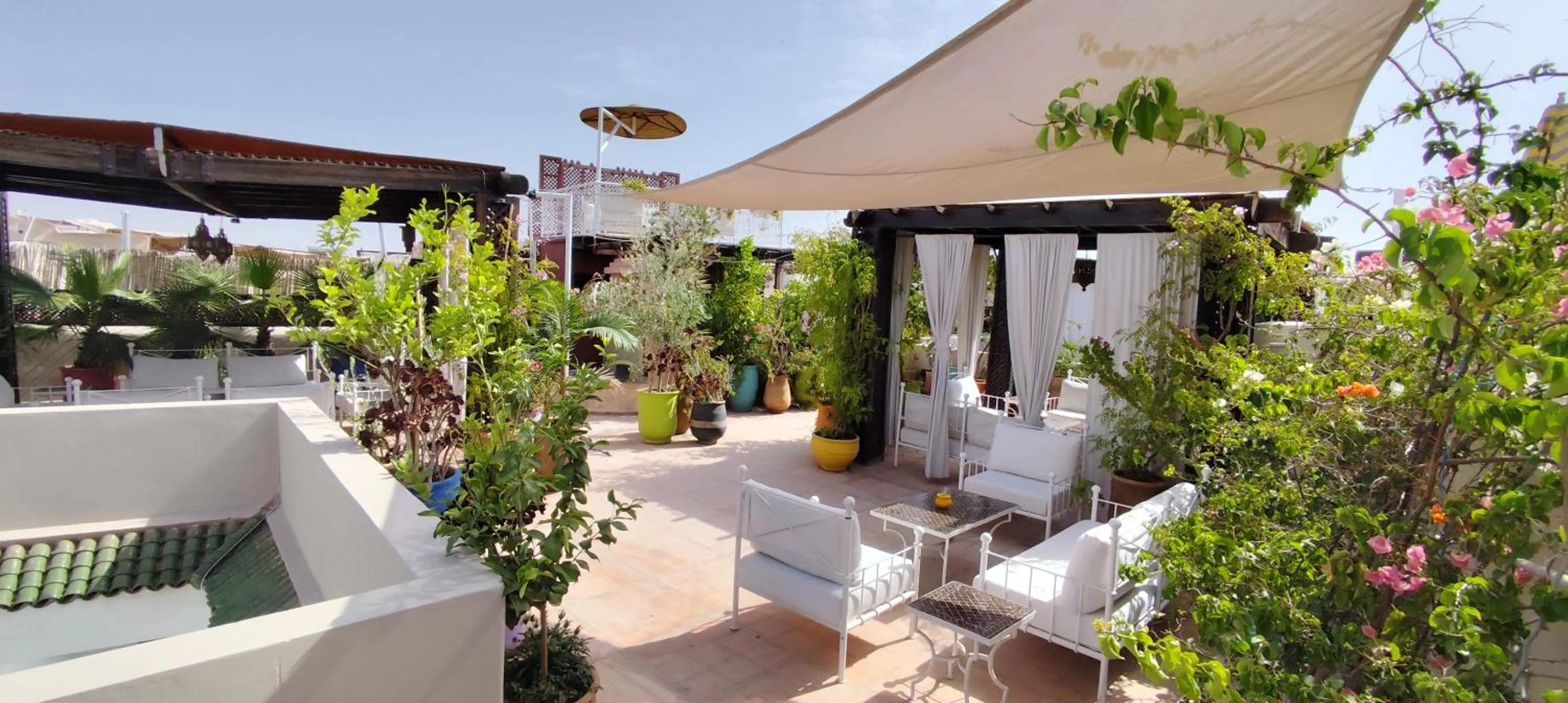 Balcony/Terrace in Riad Dar Saad - Hammam & Spa
