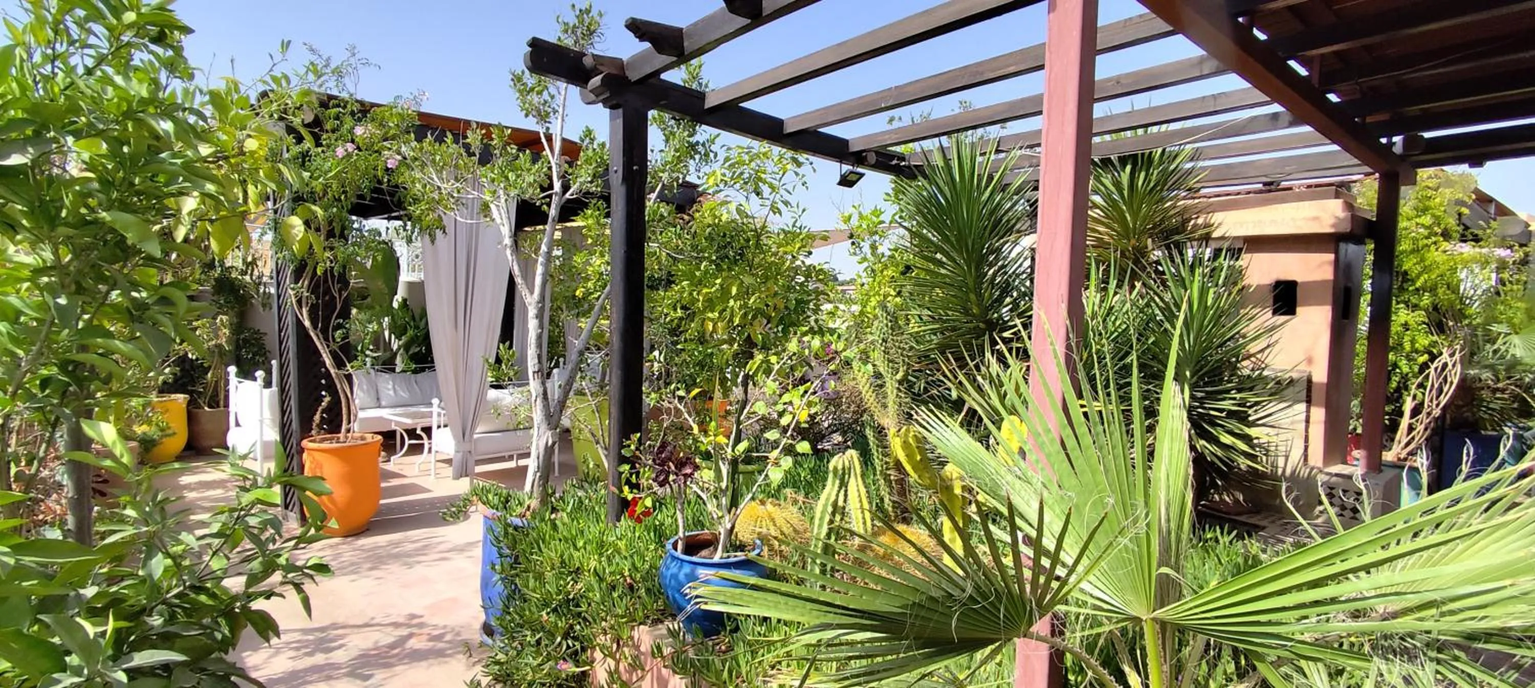 Garden in Riad Dar Saad - Hammam & Spa