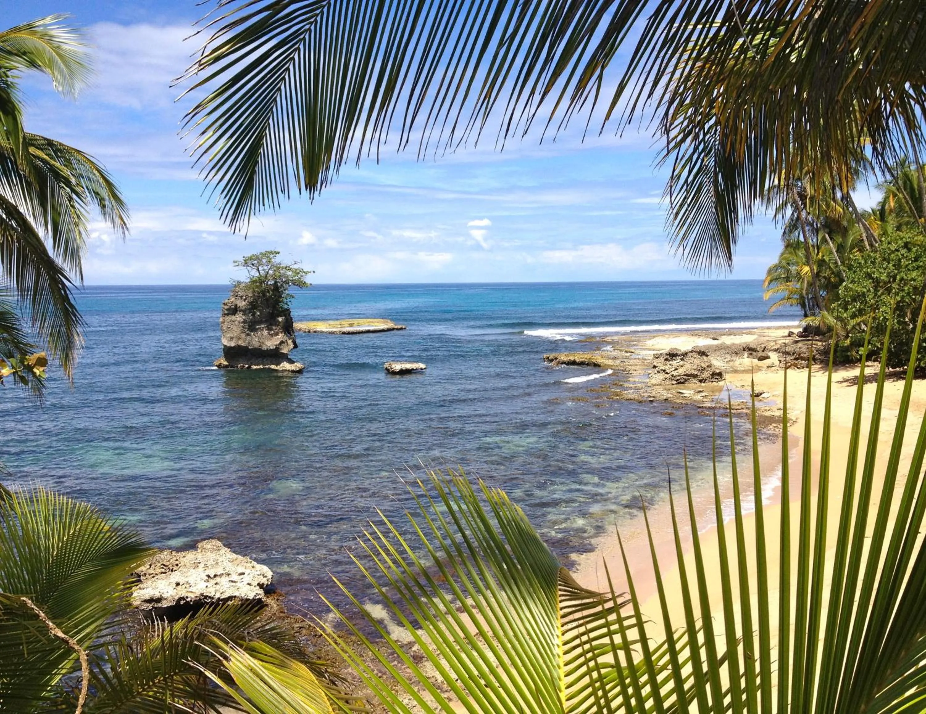 Snorkeling in Physis Caribbean Bed & Breakfast