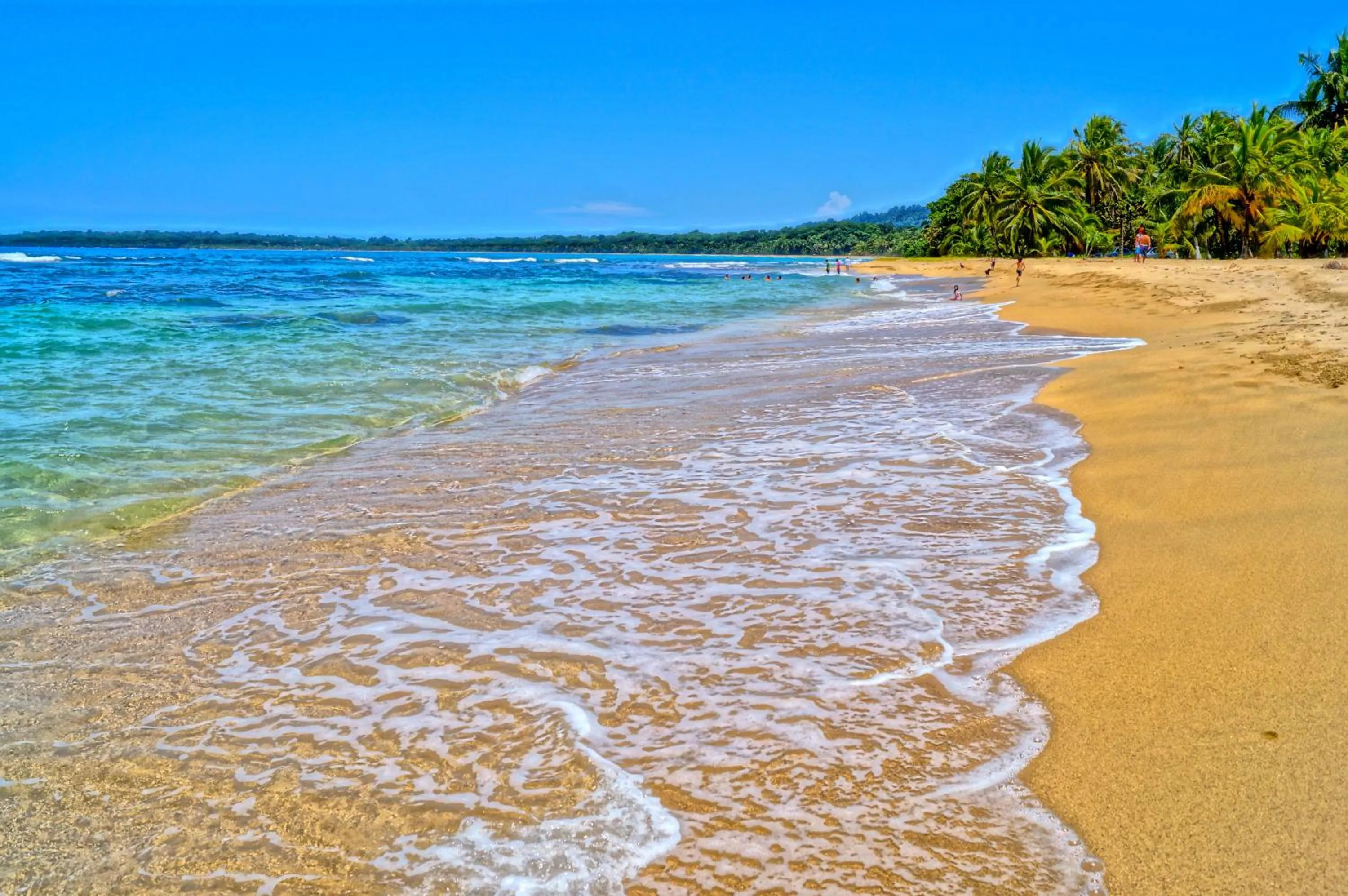 Beach in Physis Caribbean Bed & Breakfast