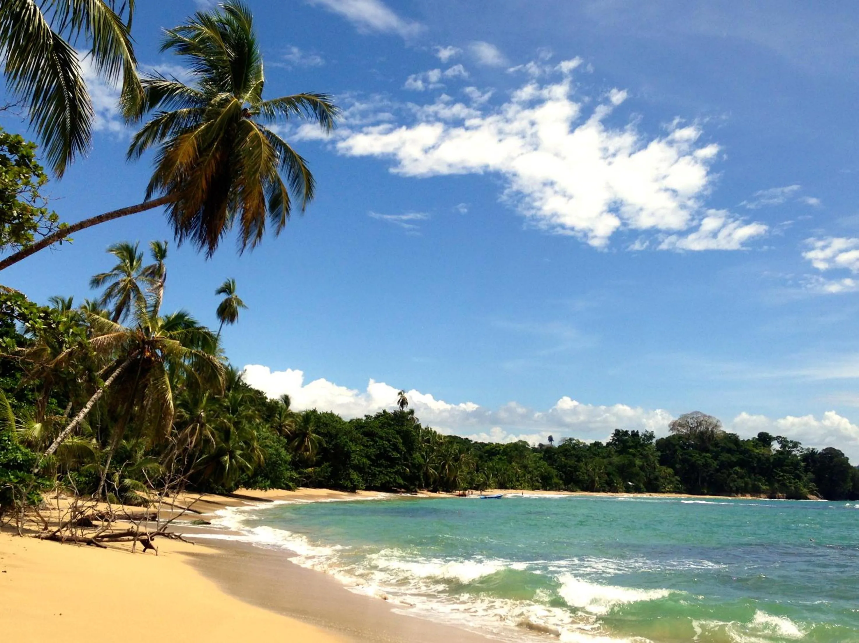 Snorkeling in Physis Caribbean Bed & Breakfast