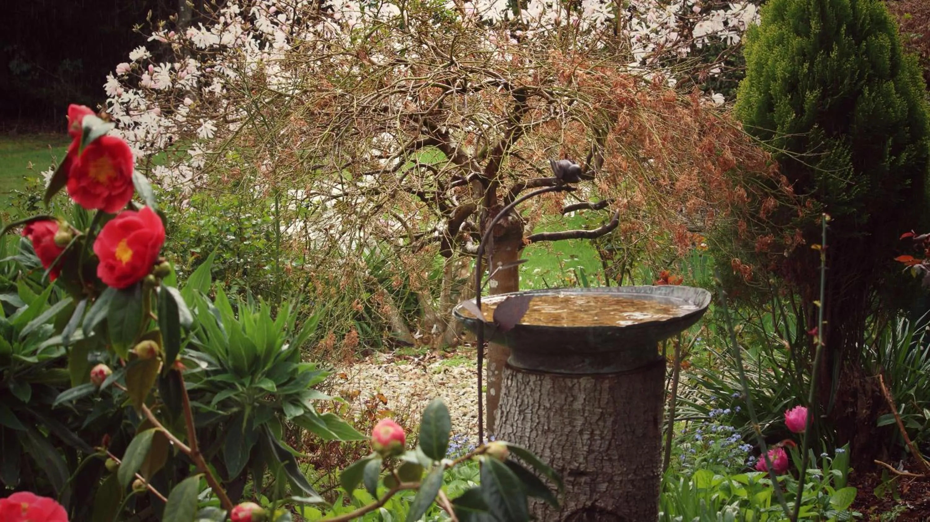 Spring in Green Gables B&B Waterfront Apartment or Garden Studio