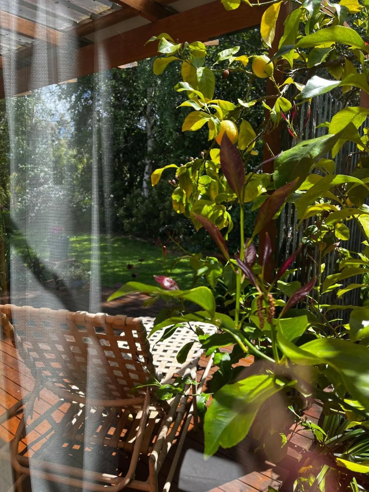 Spring in Green Gables B&B Waterfront Apartment or Garden Studio