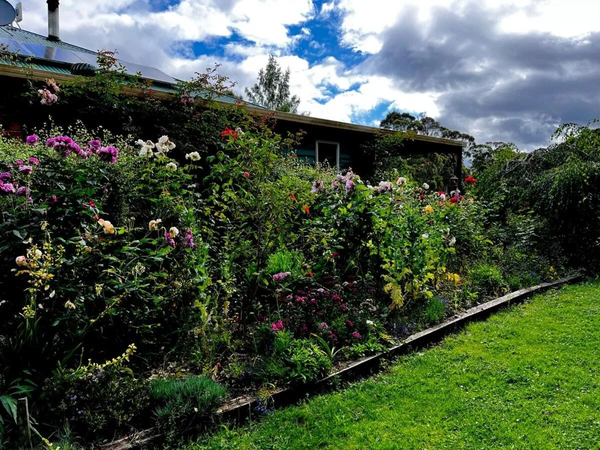 Spring in Green Gables B&B Waterfront Apartment or Garden Studio