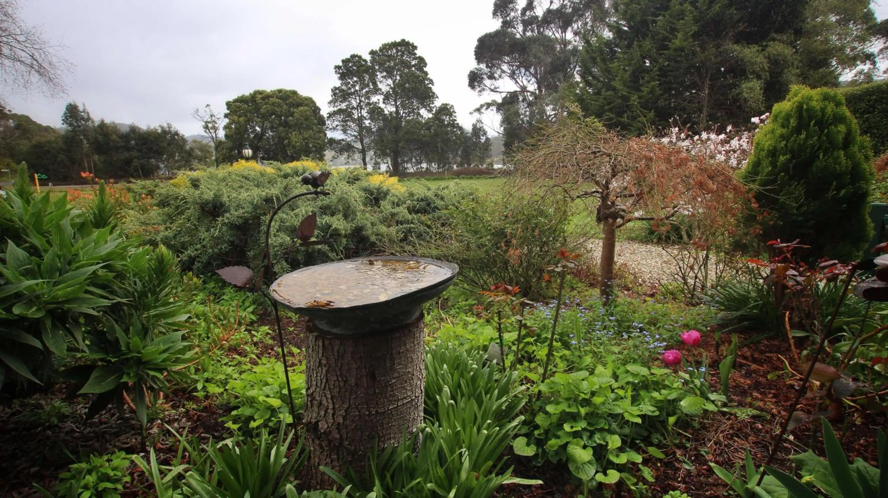 Spring in Green Gables B&B Waterfront Apartment or Garden Studio