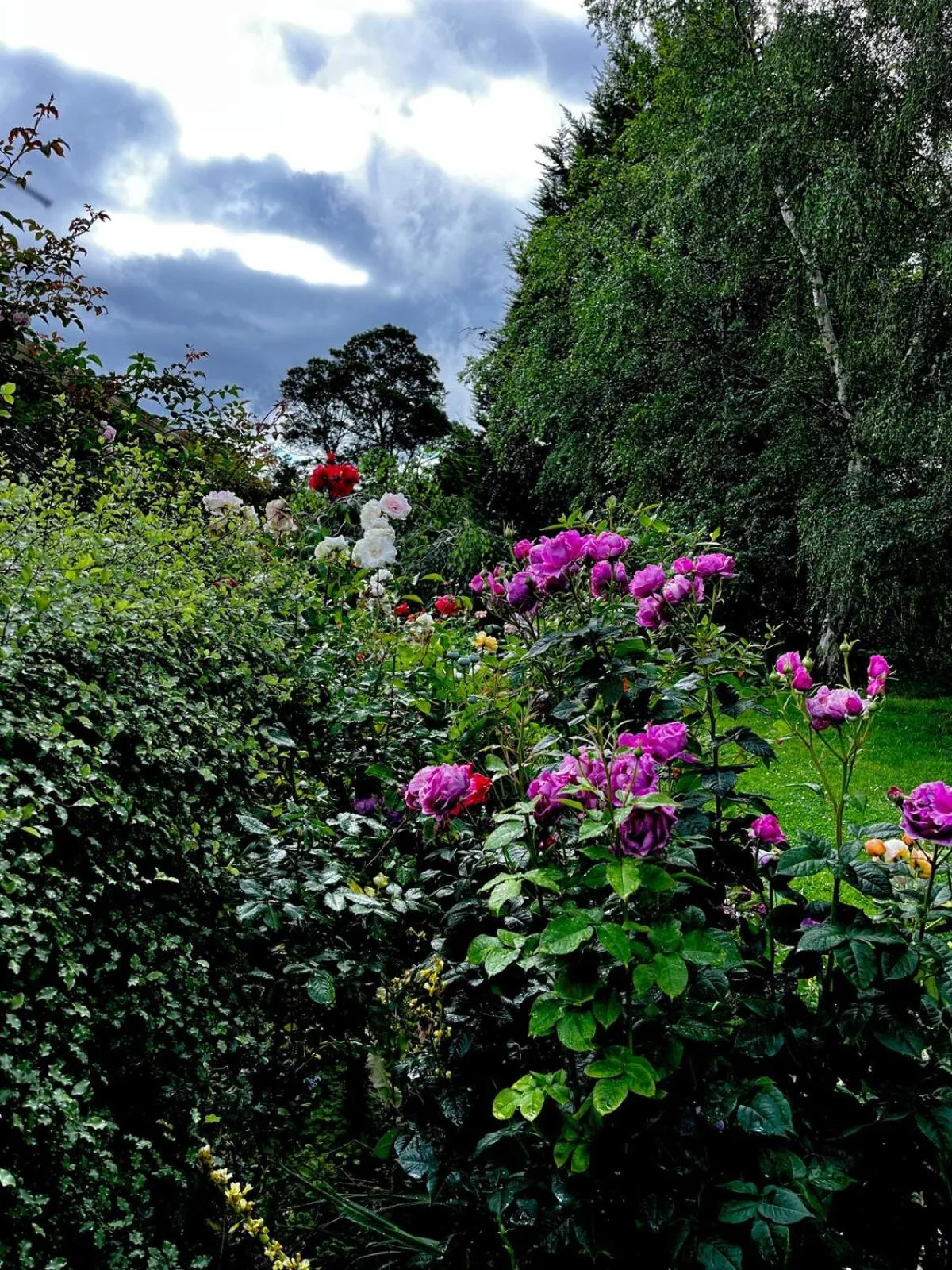 Spring in Green Gables B&B Waterfront Apartment or Garden Studio