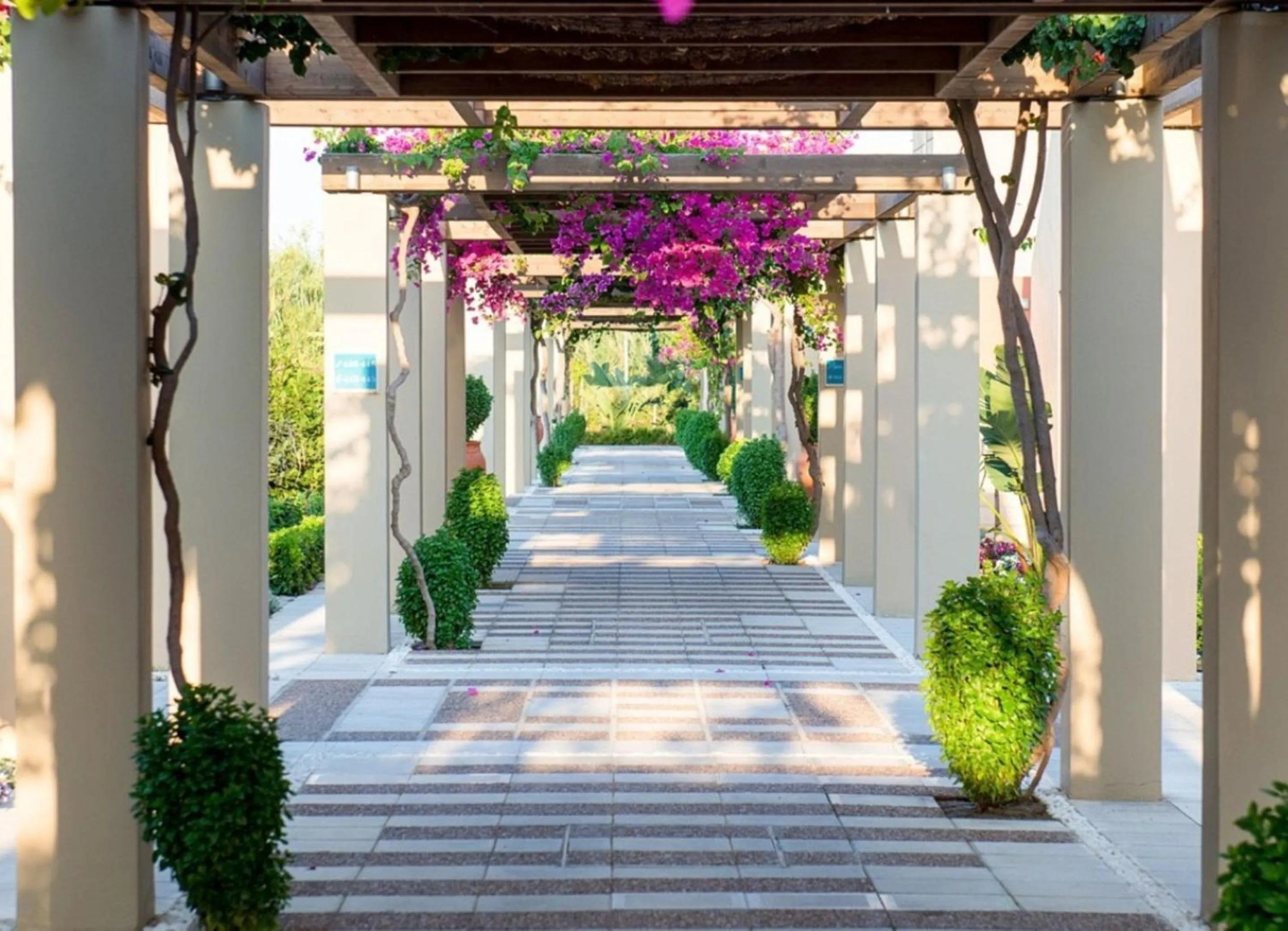 Natural landscape in Astir Odysseus Kos Resort and Spa