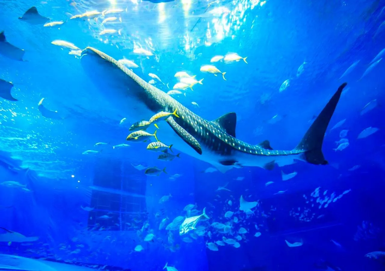 Nearby landmark in Ala Mahaina Condo Hotel