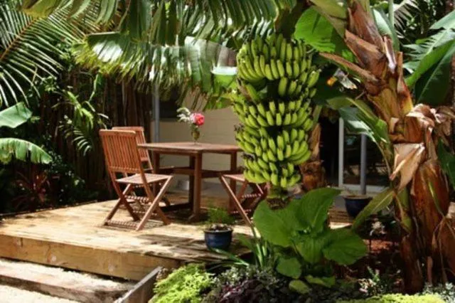 Garden in Mystic Sands