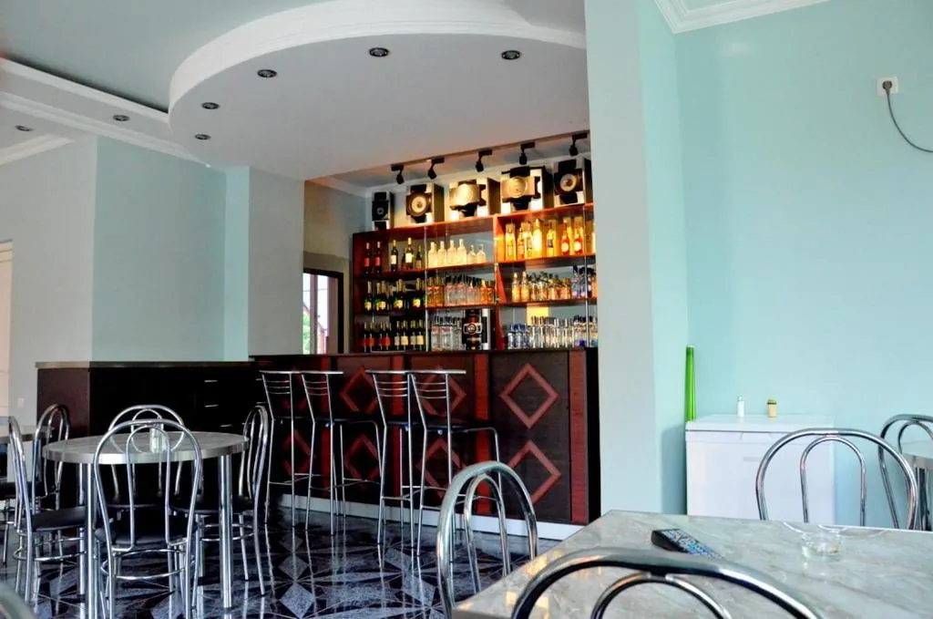 Lounge or bar in Hotel Egrisi