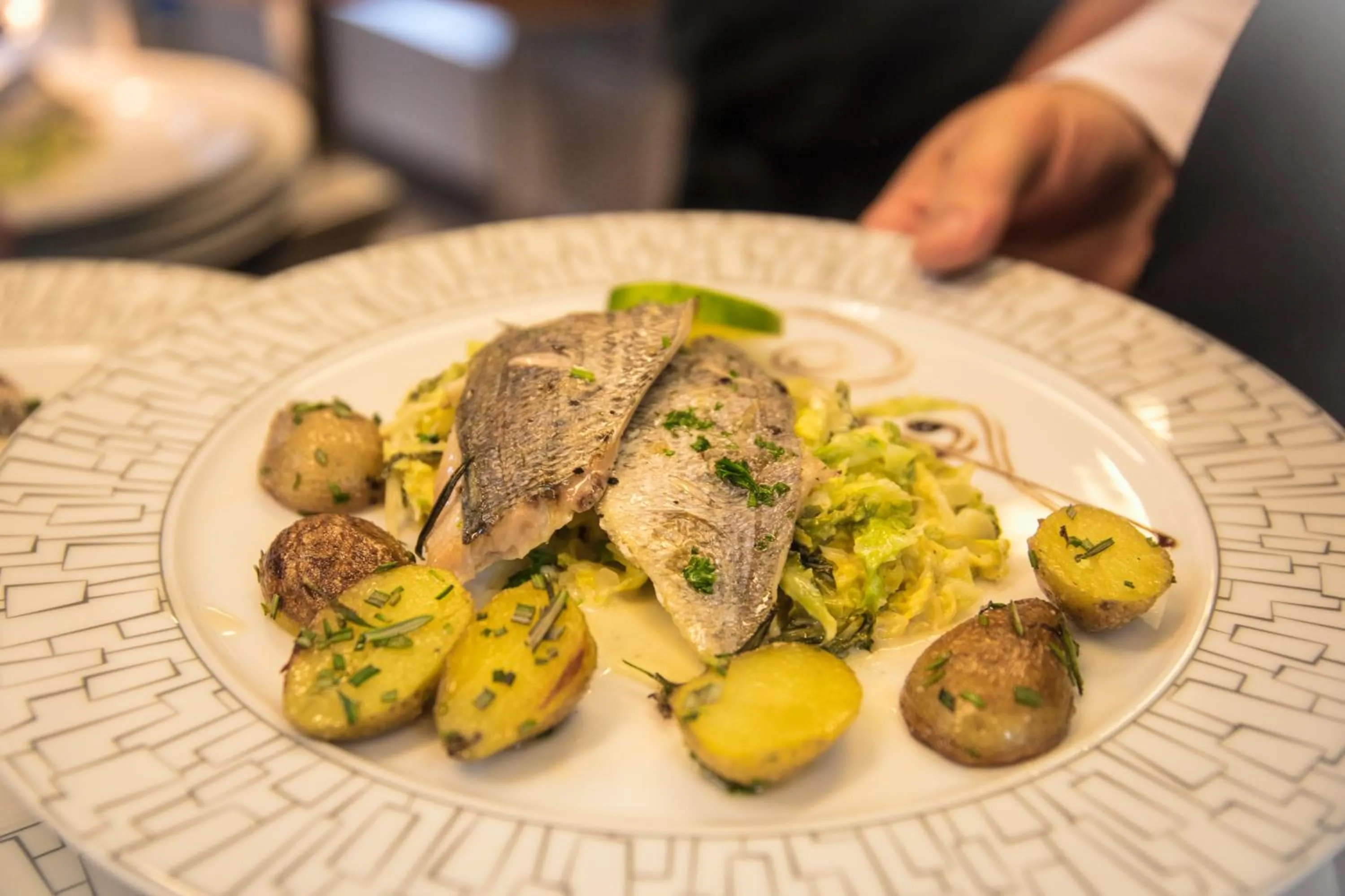 Food close-up in Campus Garden Businesshotel
