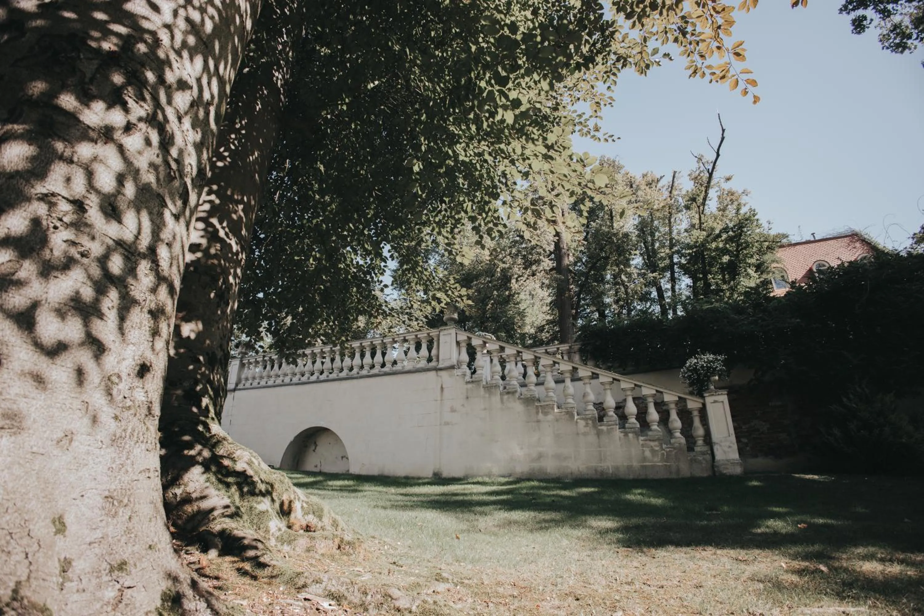 Garden in Dwór Sieraków