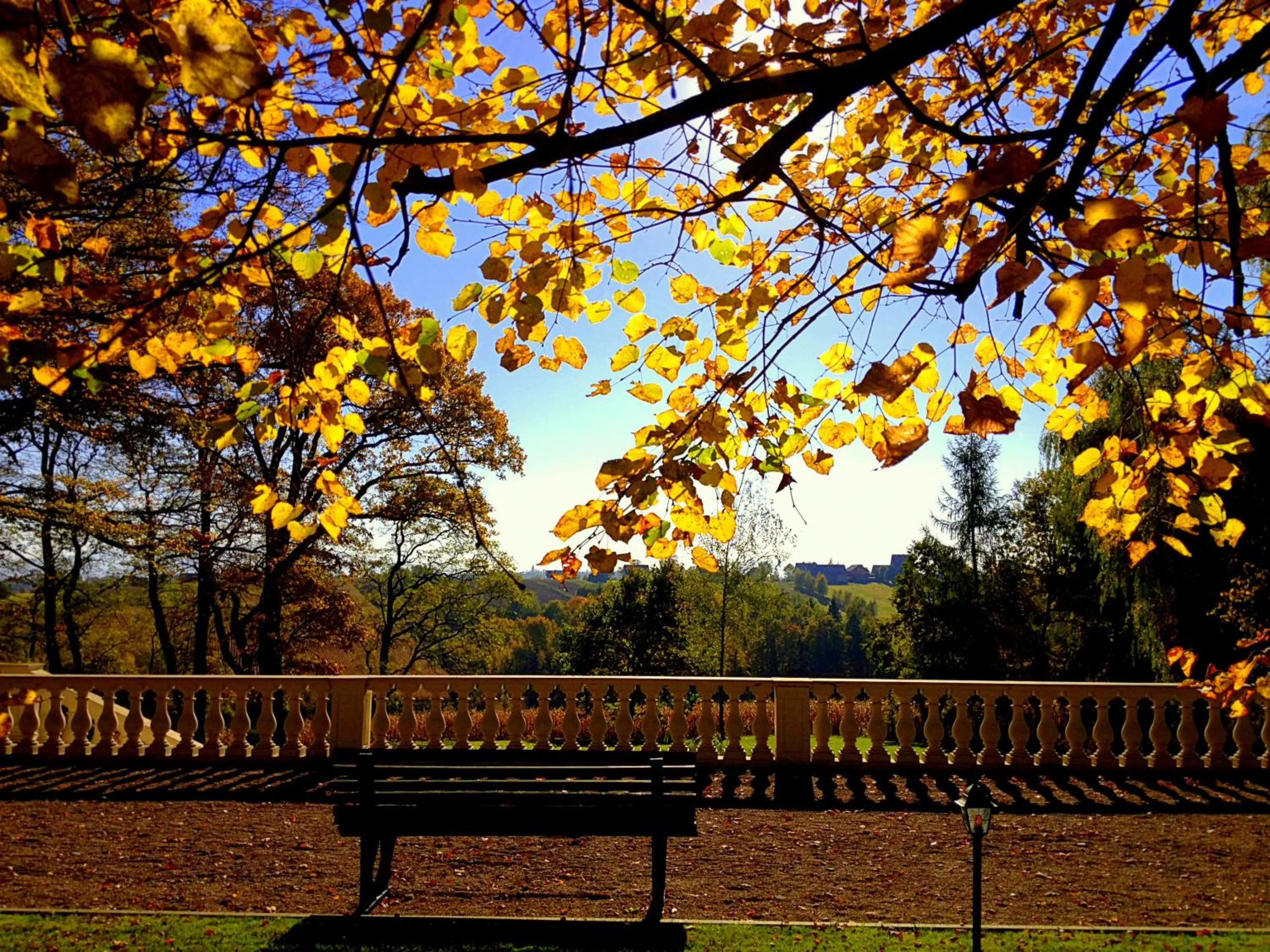 Garden in Dwór Sieraków