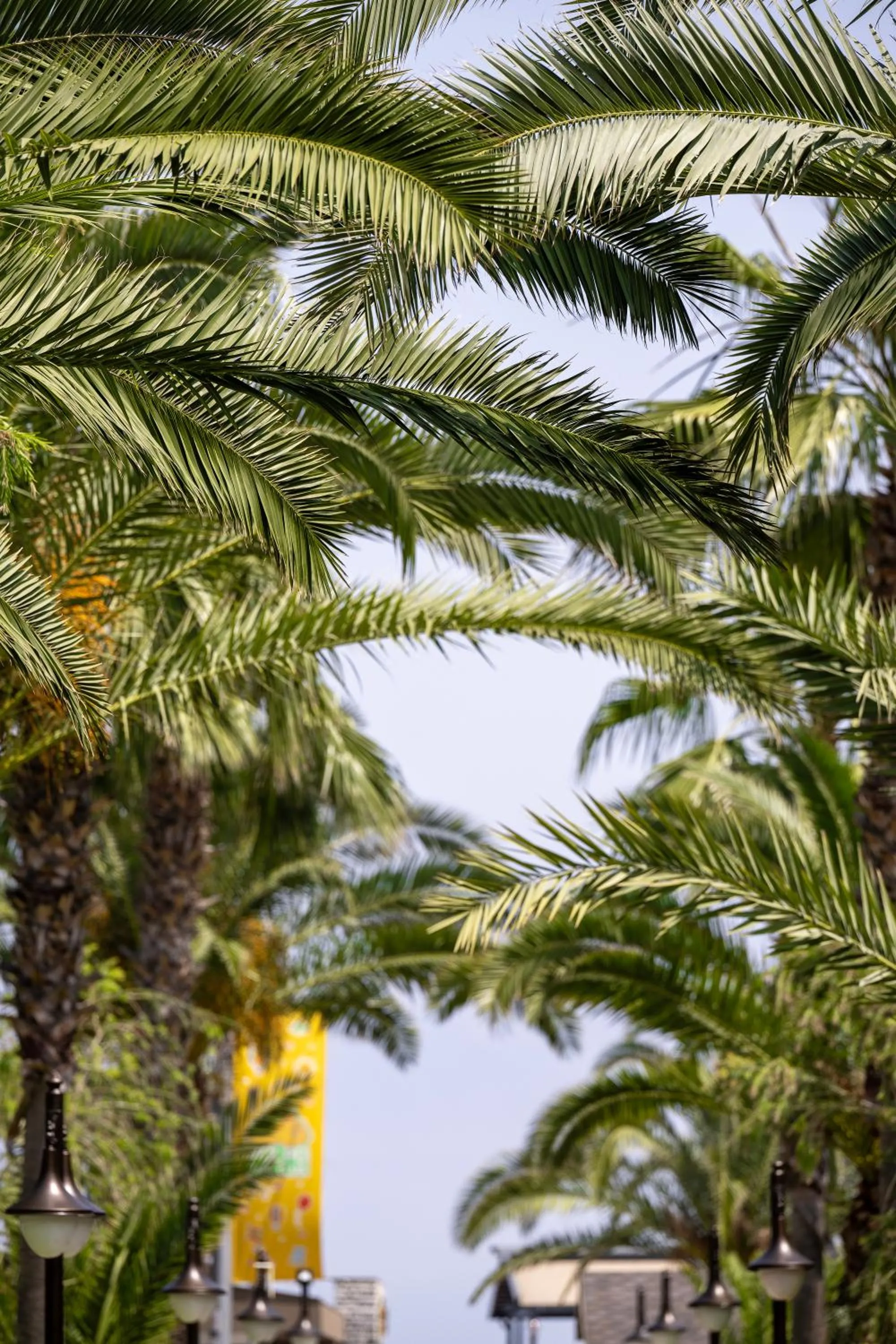 Garden view in Sailor's Beach Club