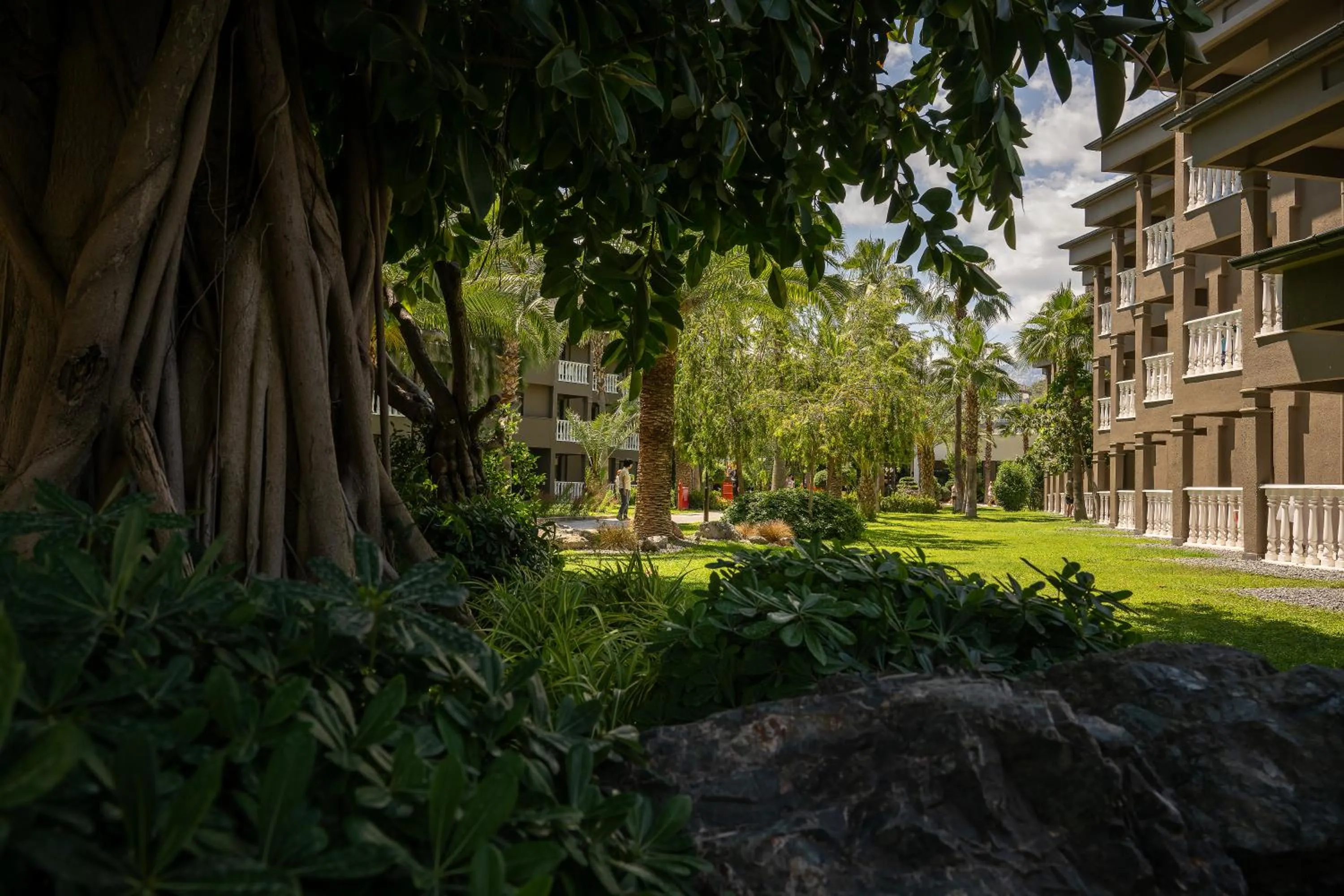 Garden in Sailor's Beach Club
