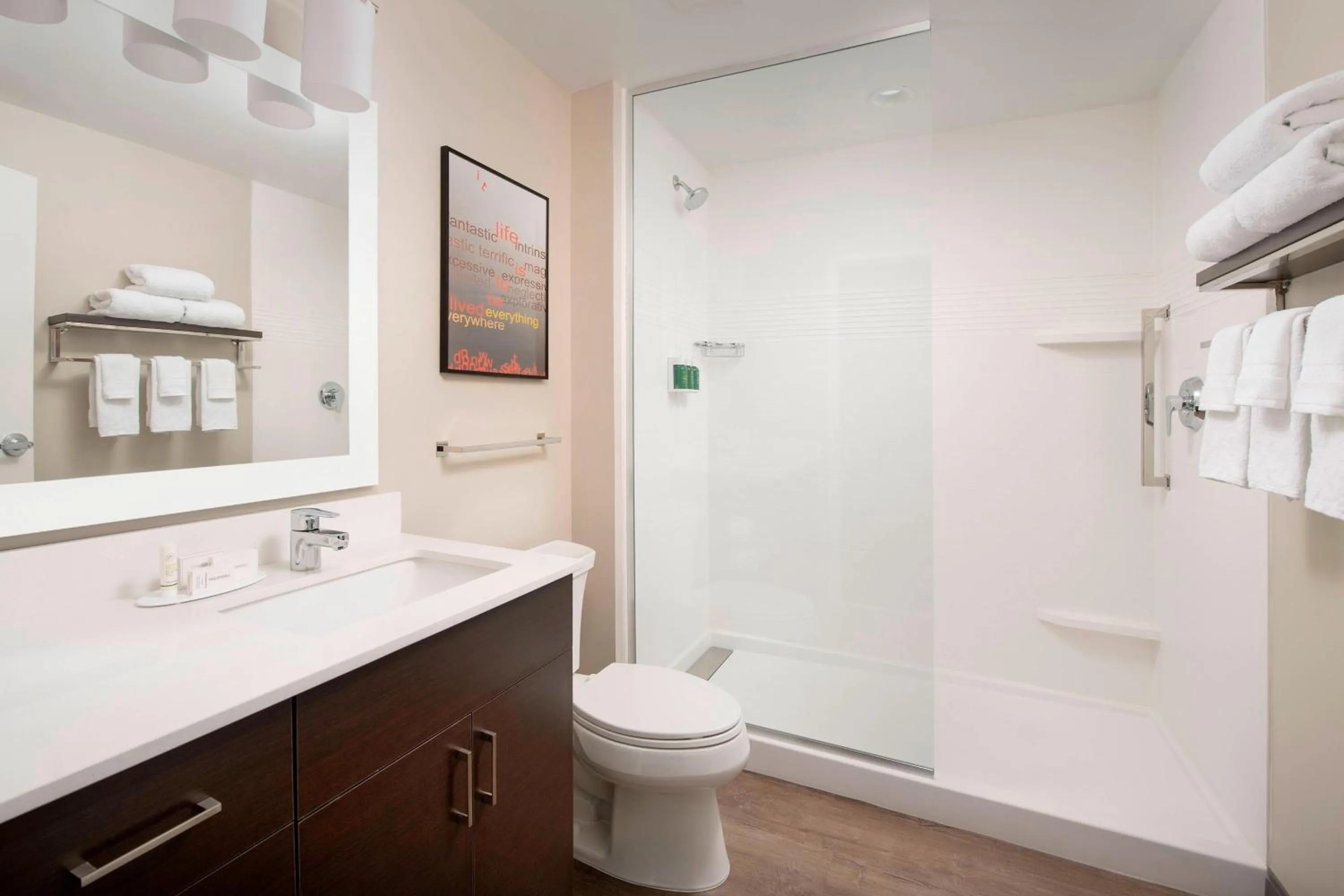 Bathroom in TownePlace Suites by Marriott College Park