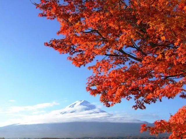 Autumn in Shuhokaku Kogetsu