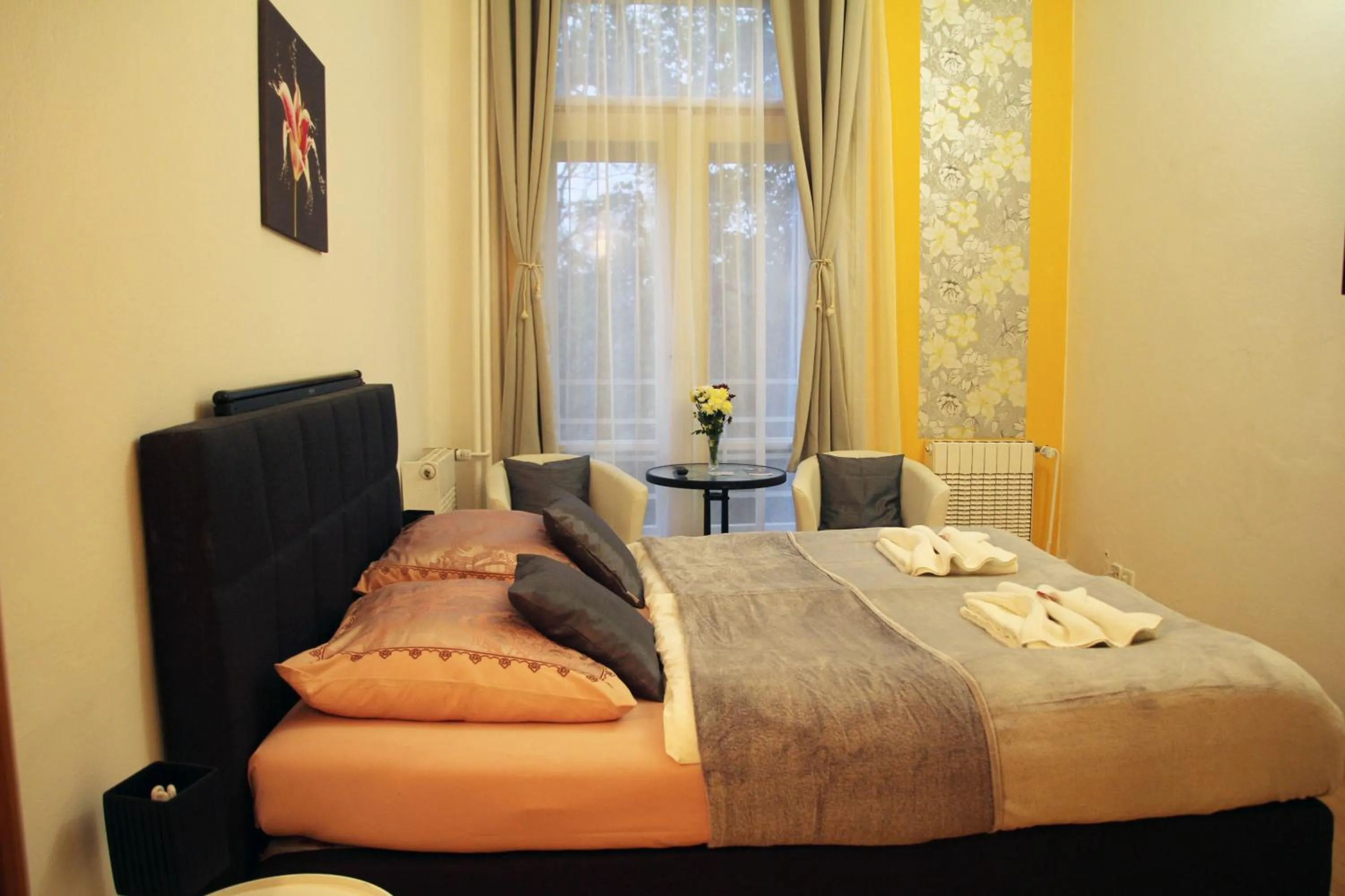 Standard Double or Twin Room in Penzion Alfa Poděbrady