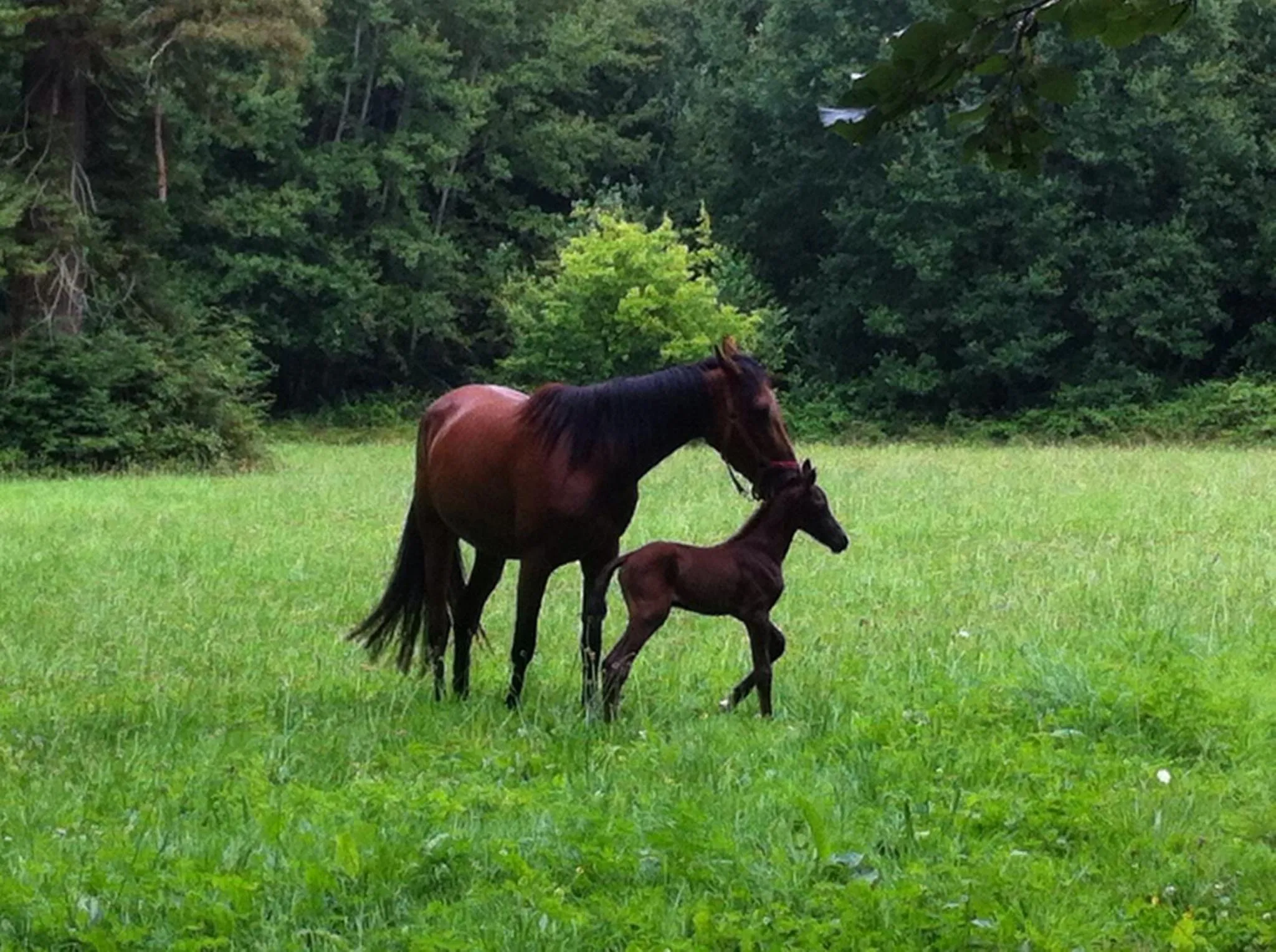 View (from property/room) in Domaine de Bel Air