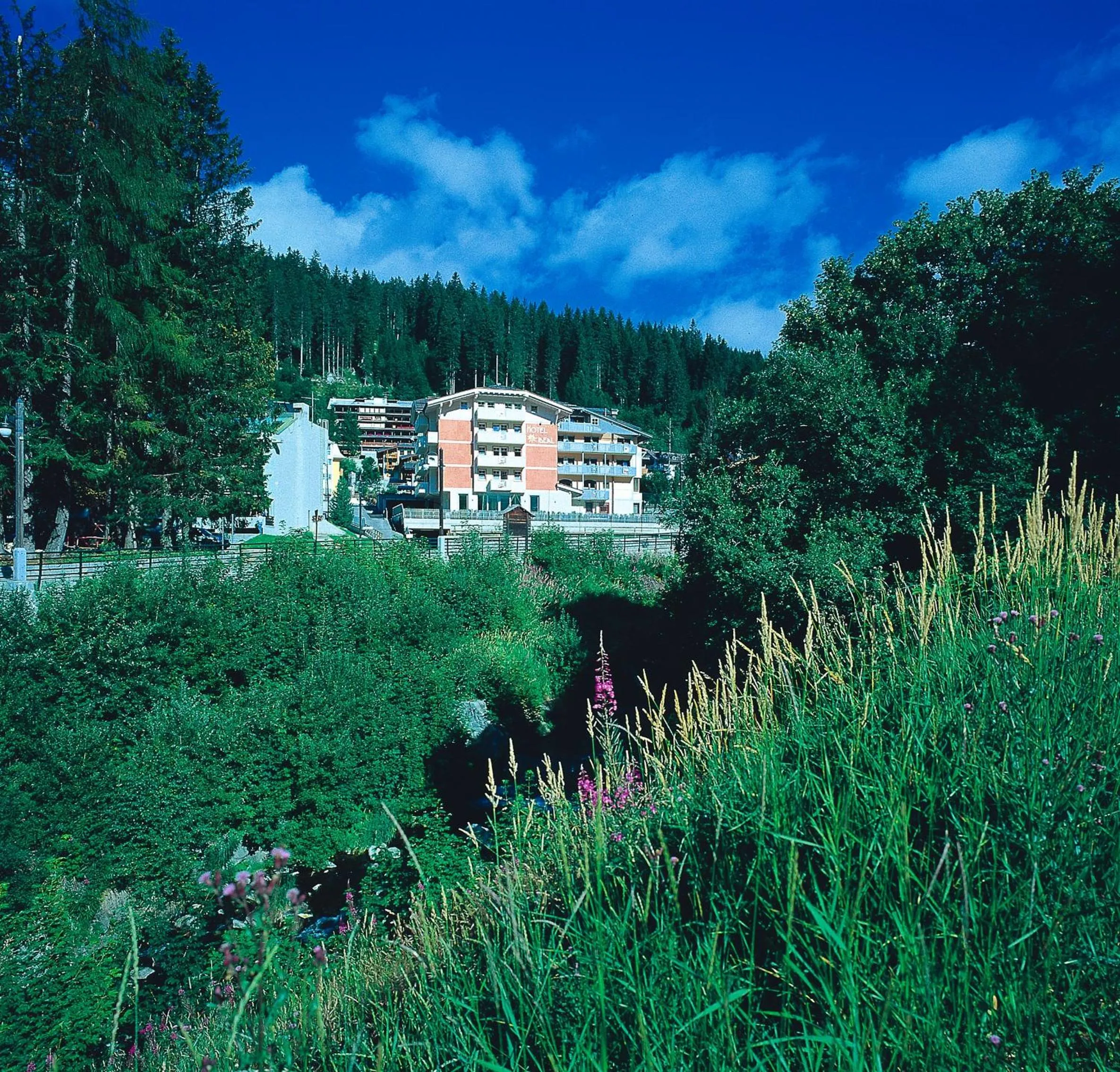 Facade/entrance in Hotel Ideal