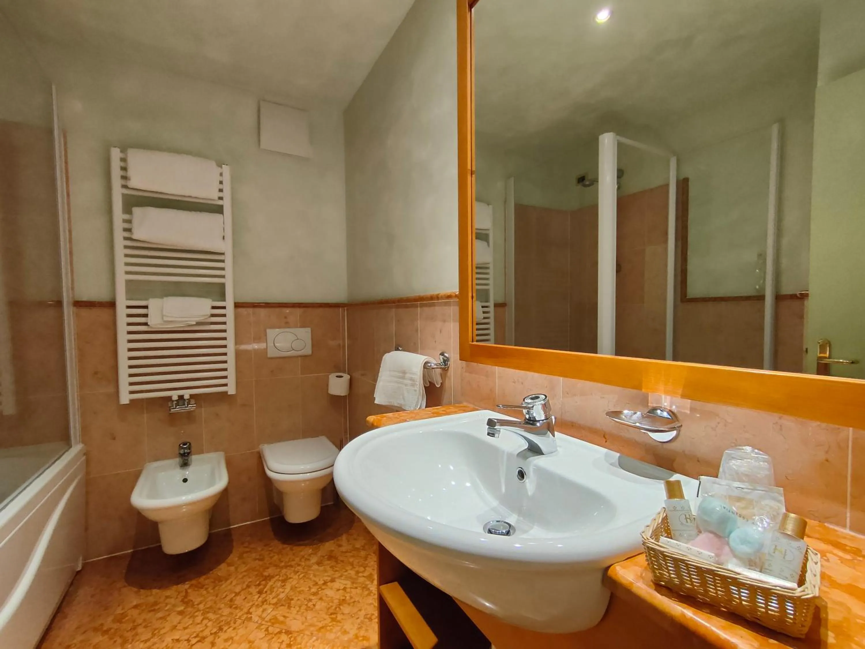 Bathroom in Hotel Ideal