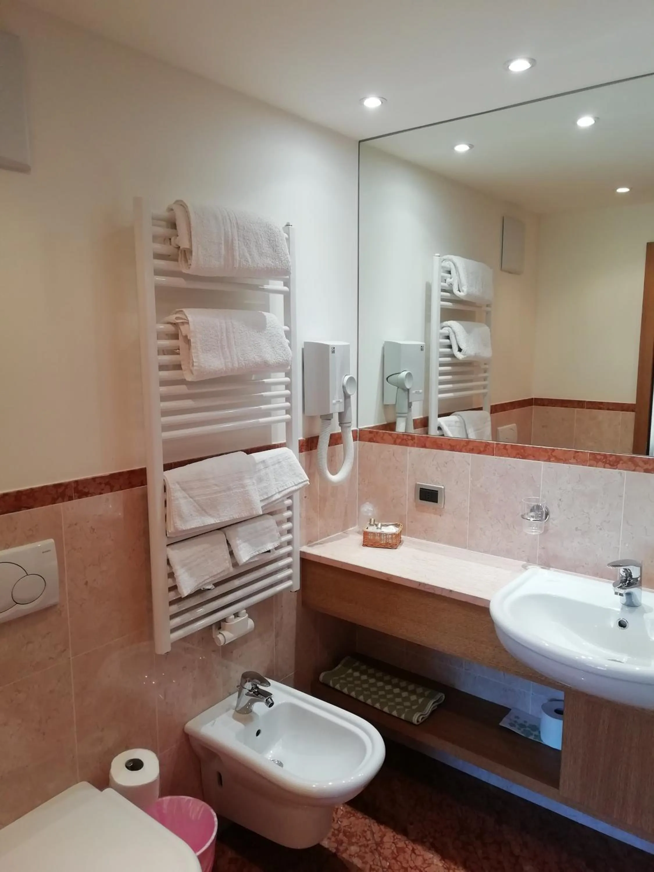 Bathroom in Hotel Ideal