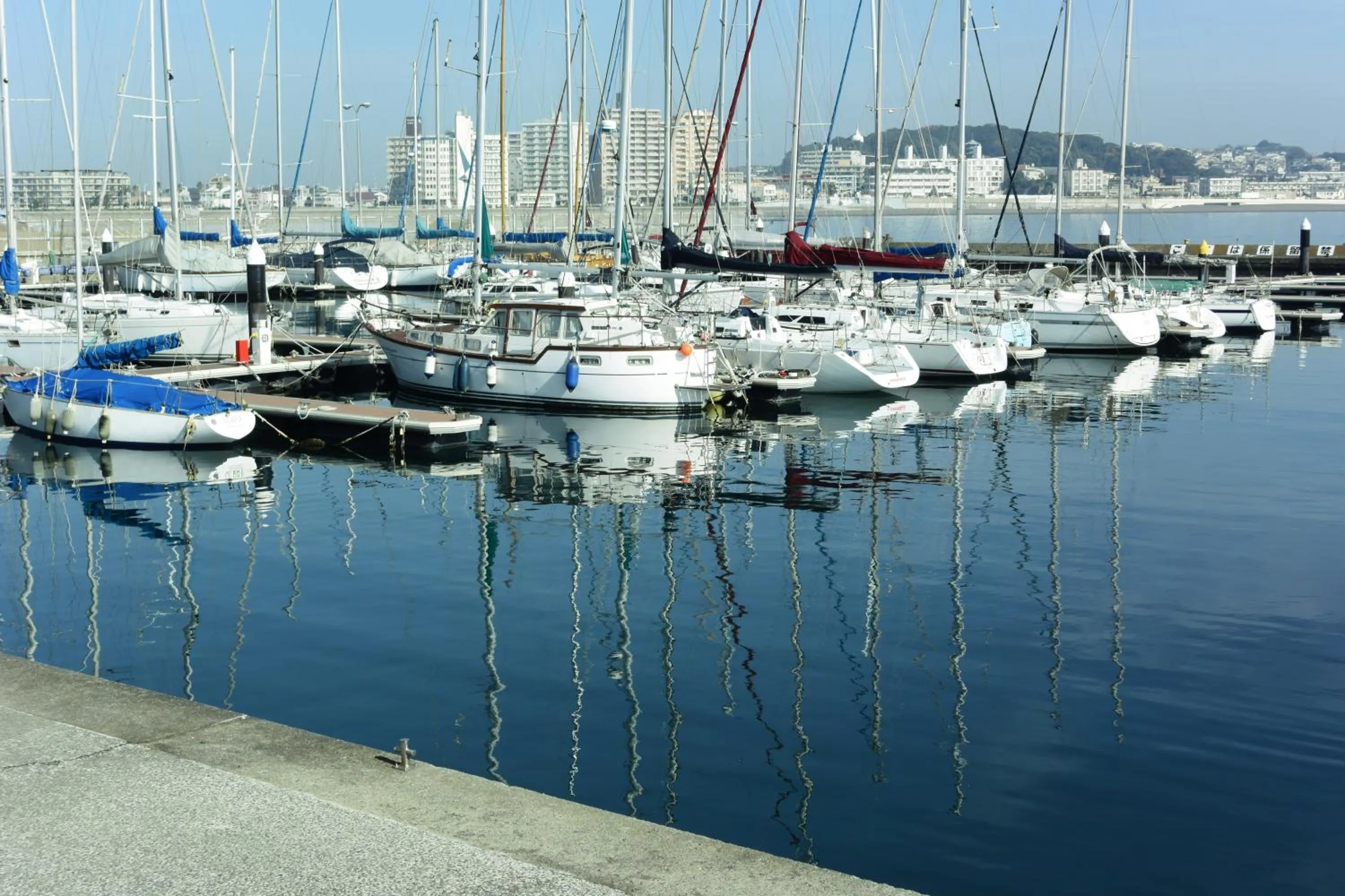 EMS Enoshima クラシックゲストハウス 寝室は個室 犬OK