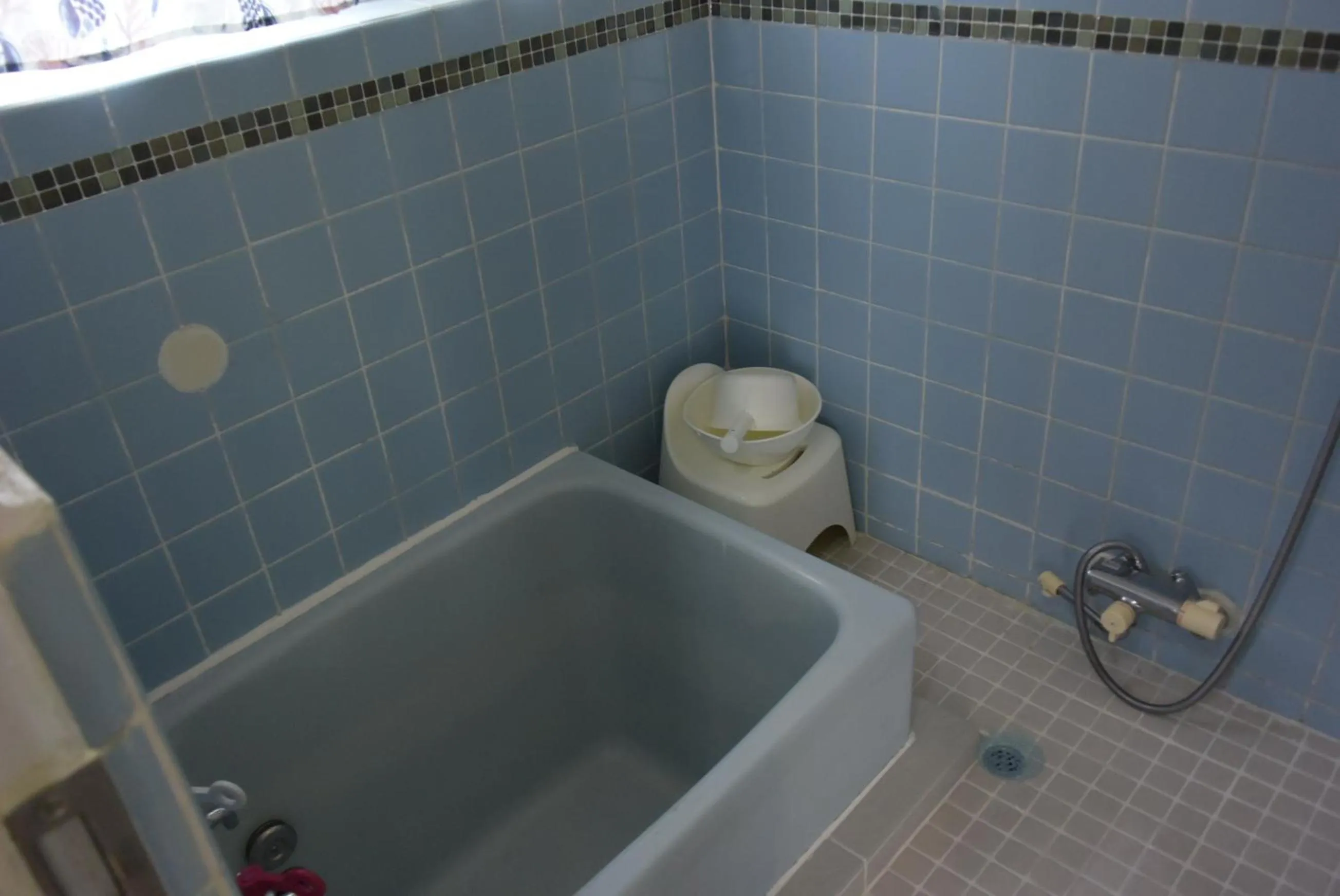 Bathroom in EMS Enoshima クラシックゲストハウス 寝室は個室 犬OK