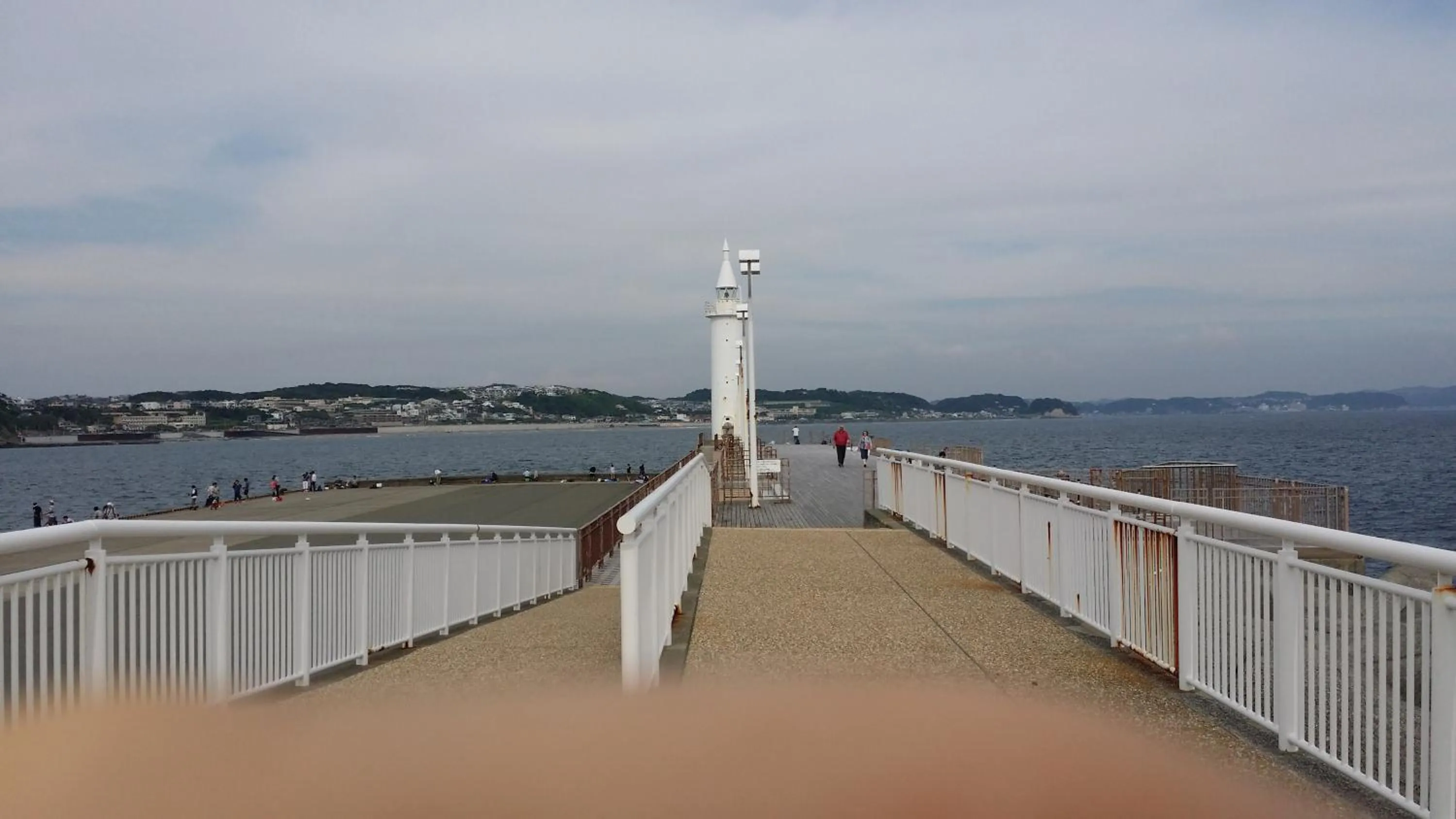 EMS Enoshima クラシックゲストハウス 寝室は個室 犬OK