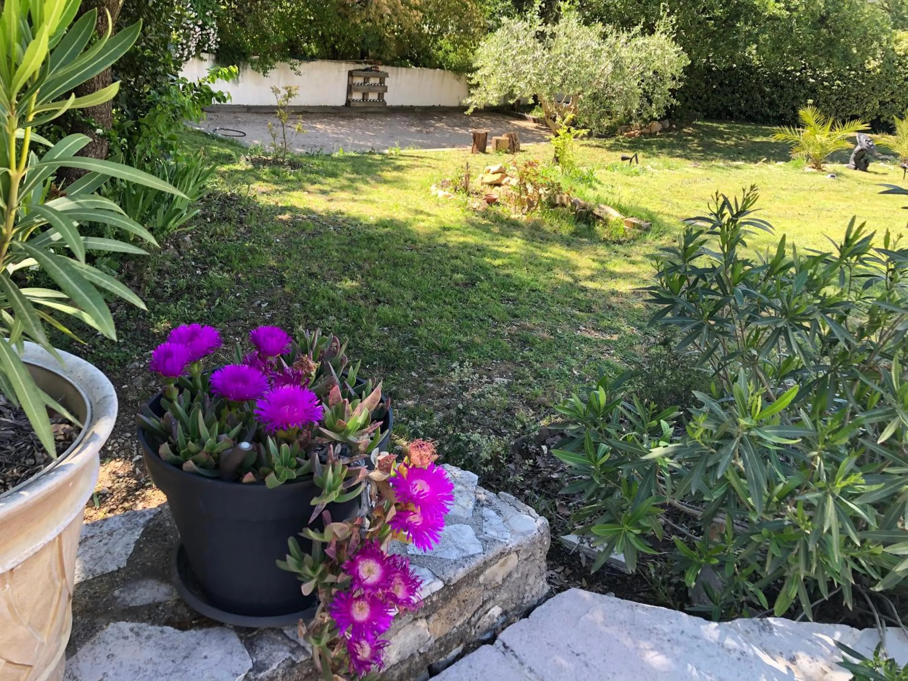 Natural landscape in Villa QUINISSOLE