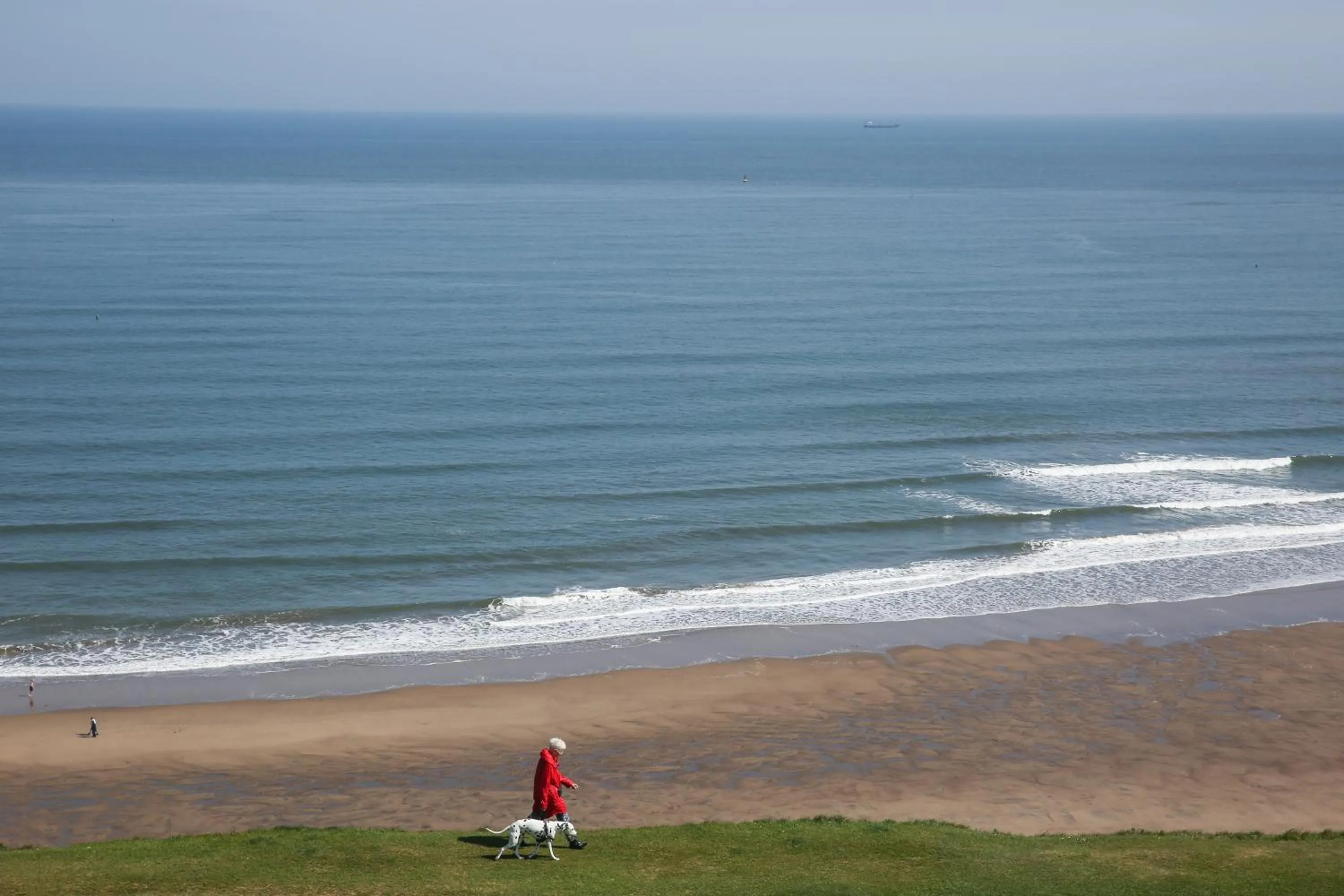 The Seacliffe - Whitby