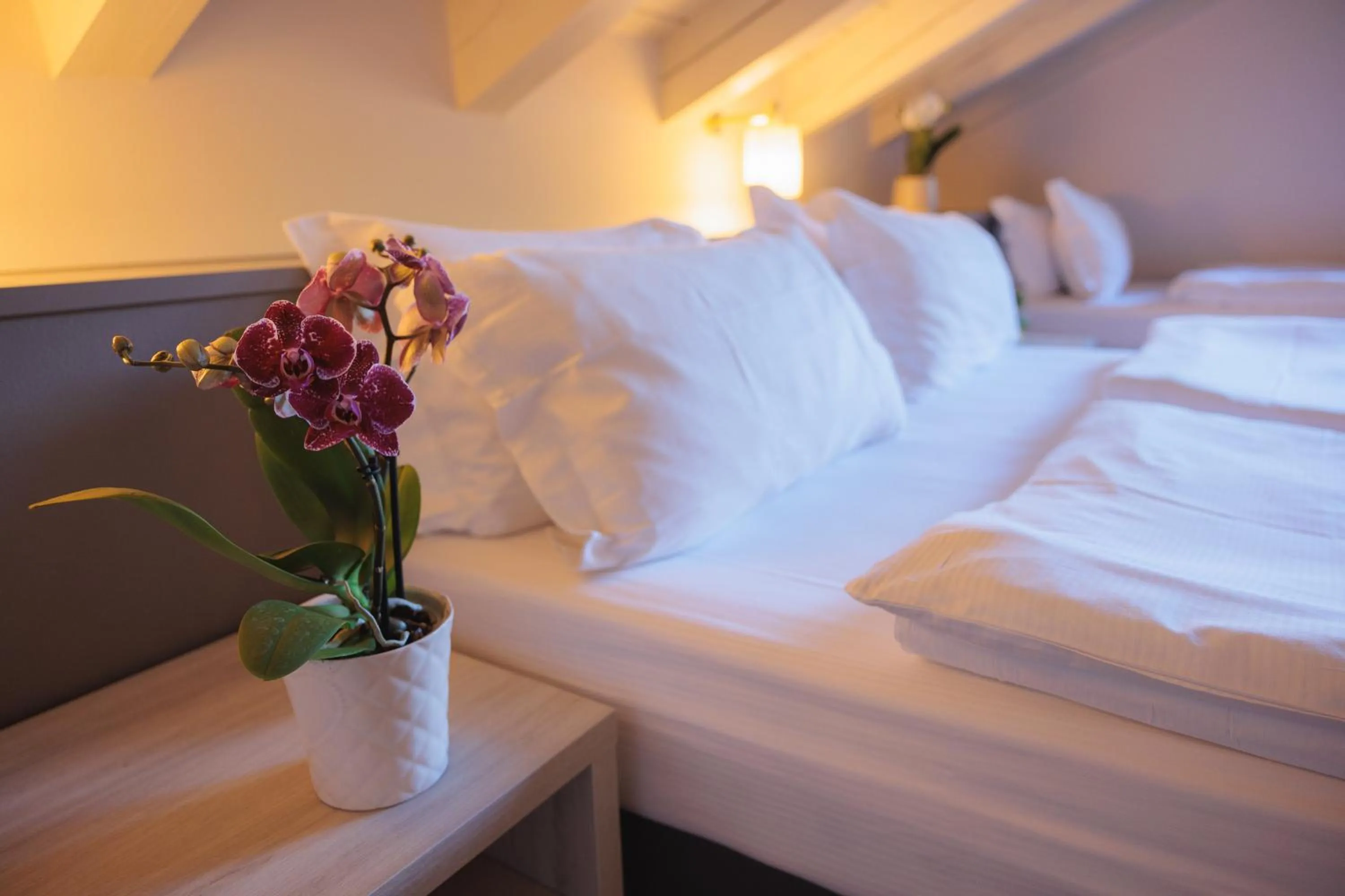 Bed in Hotel Binelli