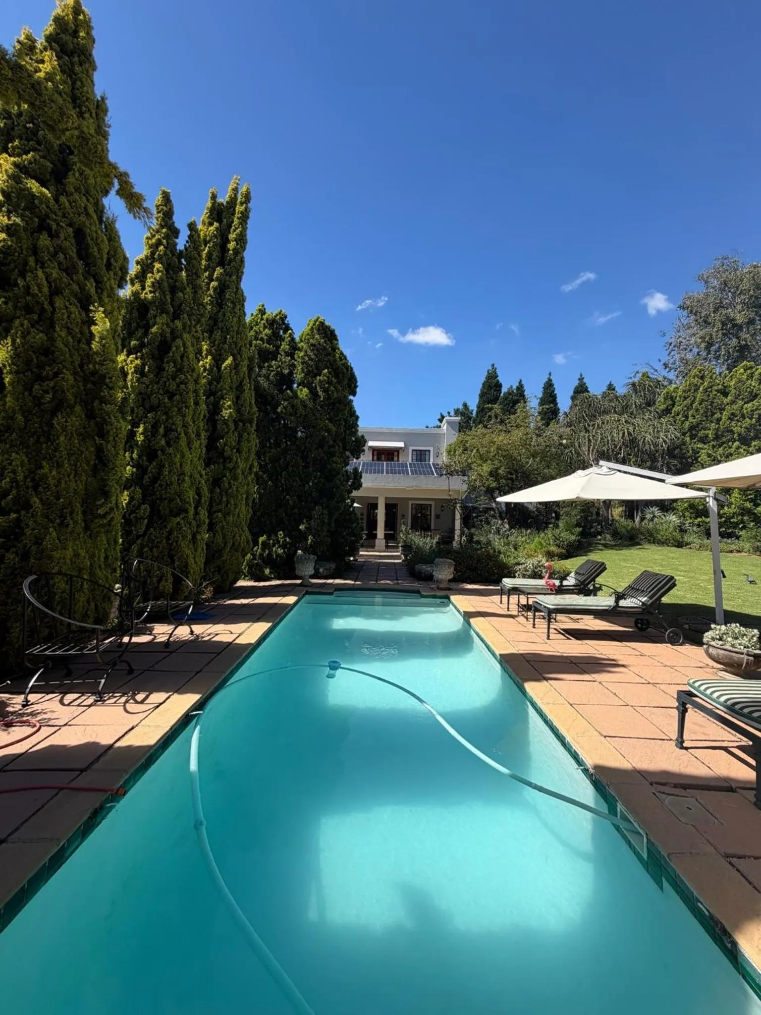Day in Highgrove Guesthouse Morningside Sandton