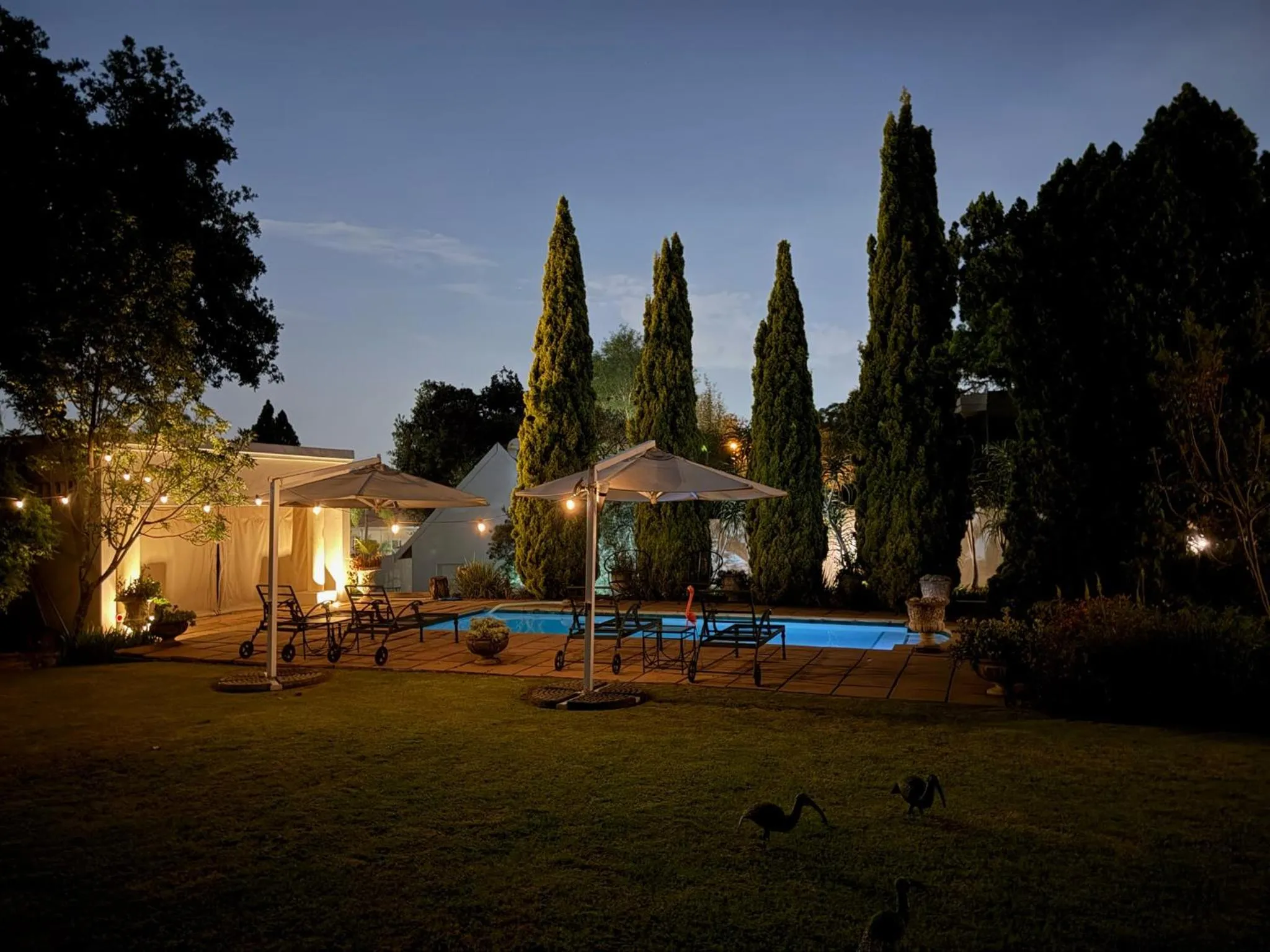 Patio in Highgrove Guesthouse Morningside Sandton