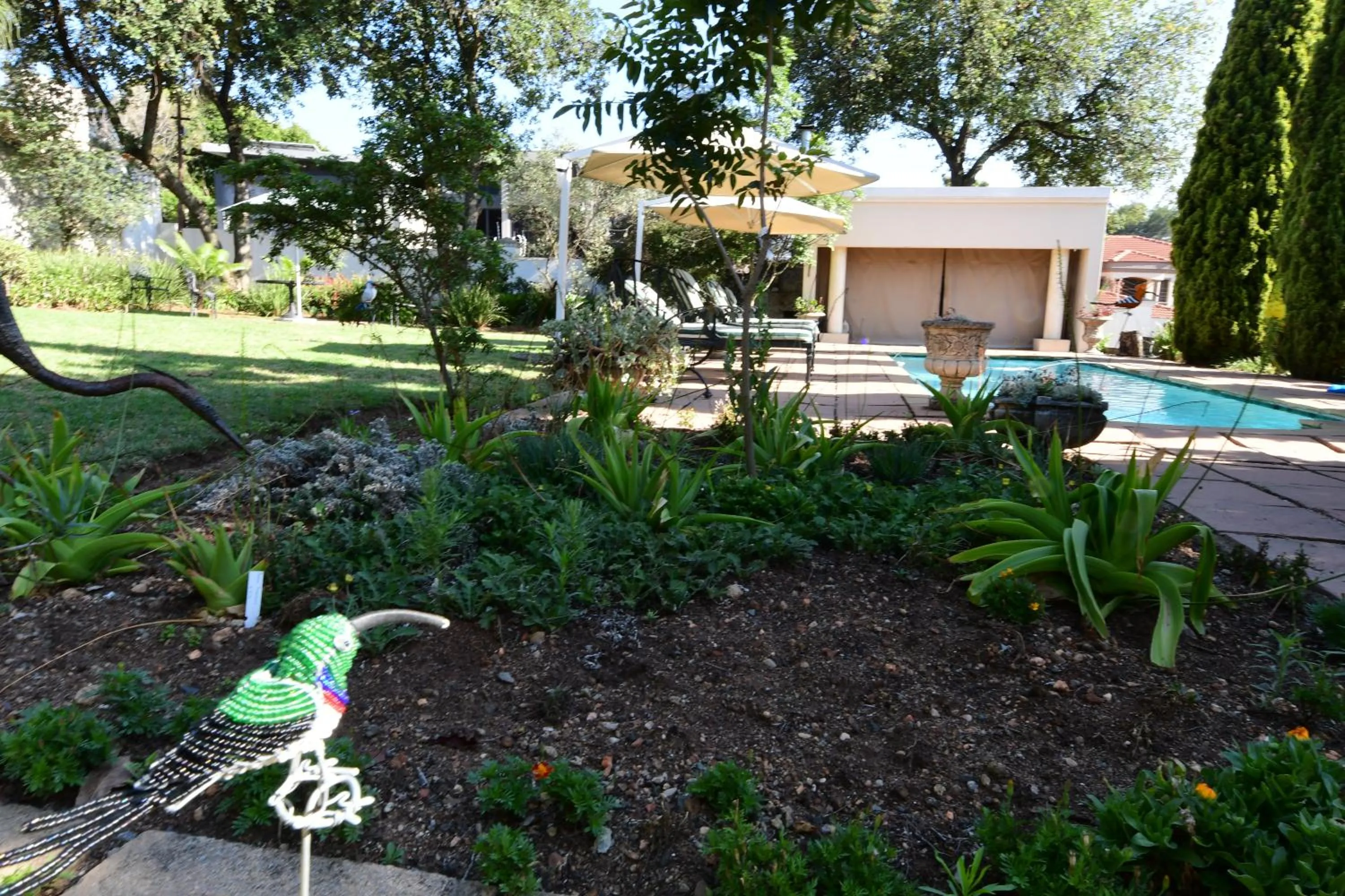 Garden in Highgrove Guesthouse Morningside Sandton